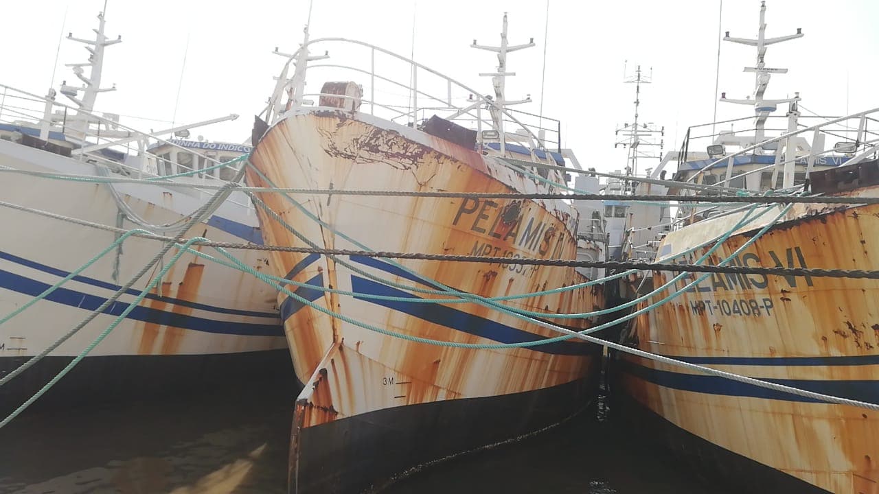 Três Atuneiros | Three Longliners - ALALUNGA V + ALALUNGA VI + PELAMIS IV — imagem 19