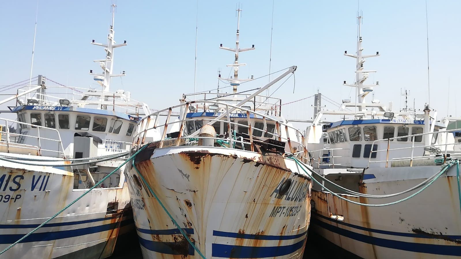 Três Atuneiros | Three Longliners - ALALUNGA V + ALALUNGA VI + PELAMIS IV — imagem 8