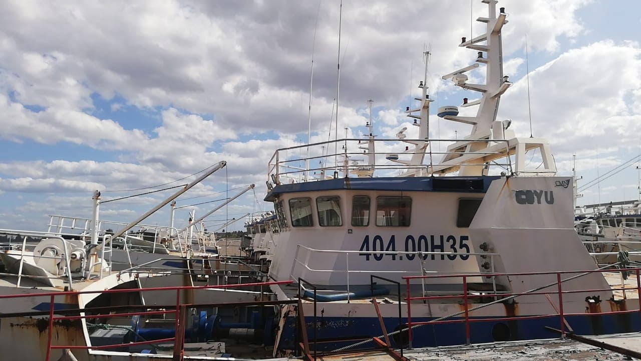 Três Atuneiros | Three Longliners - ALALUNGA V + ALALUNGA VI + PELAMIS IV — imagem 3