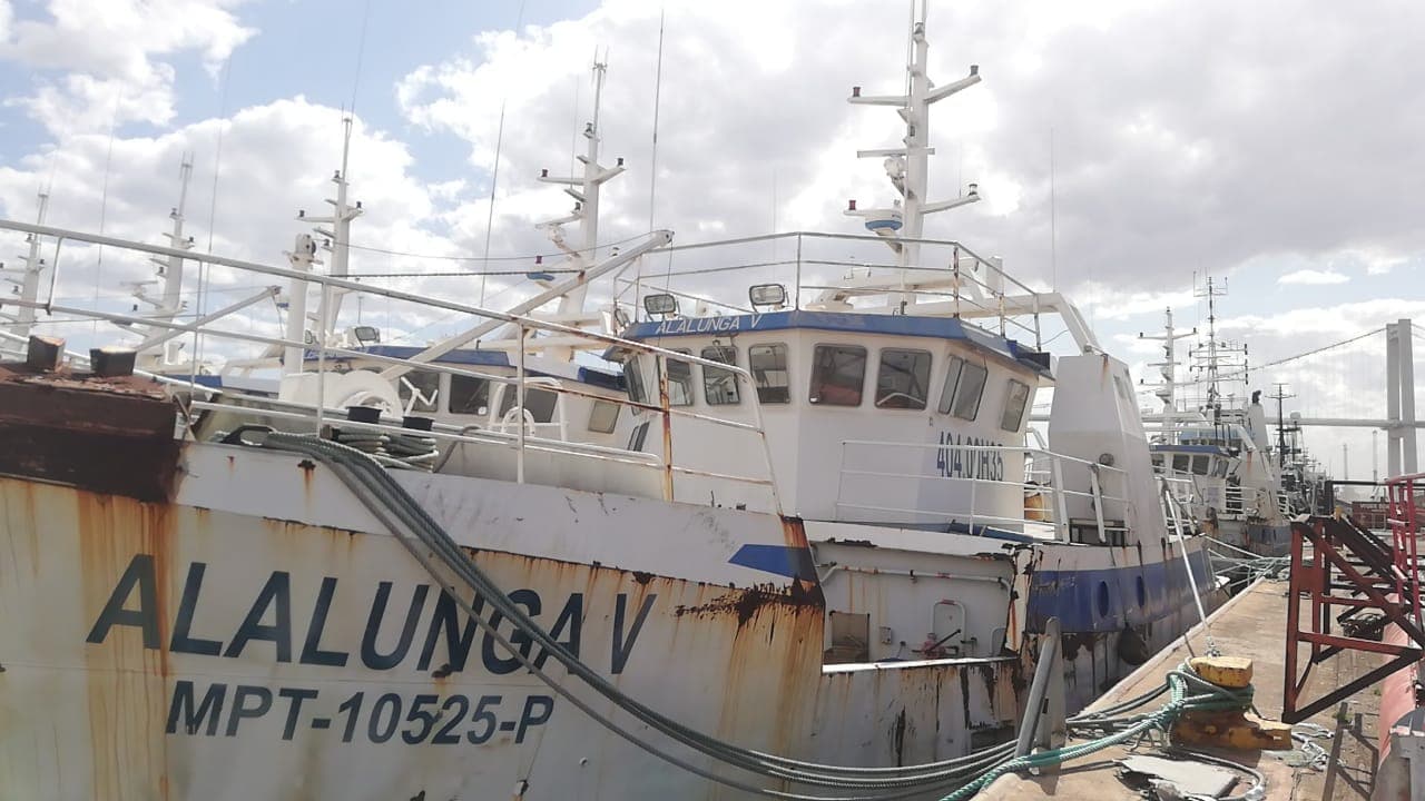 Três Atuneiros | Three Longliners - ALALUNGA V + ALALUNGA VI + PELAMIS IV — imagem 2