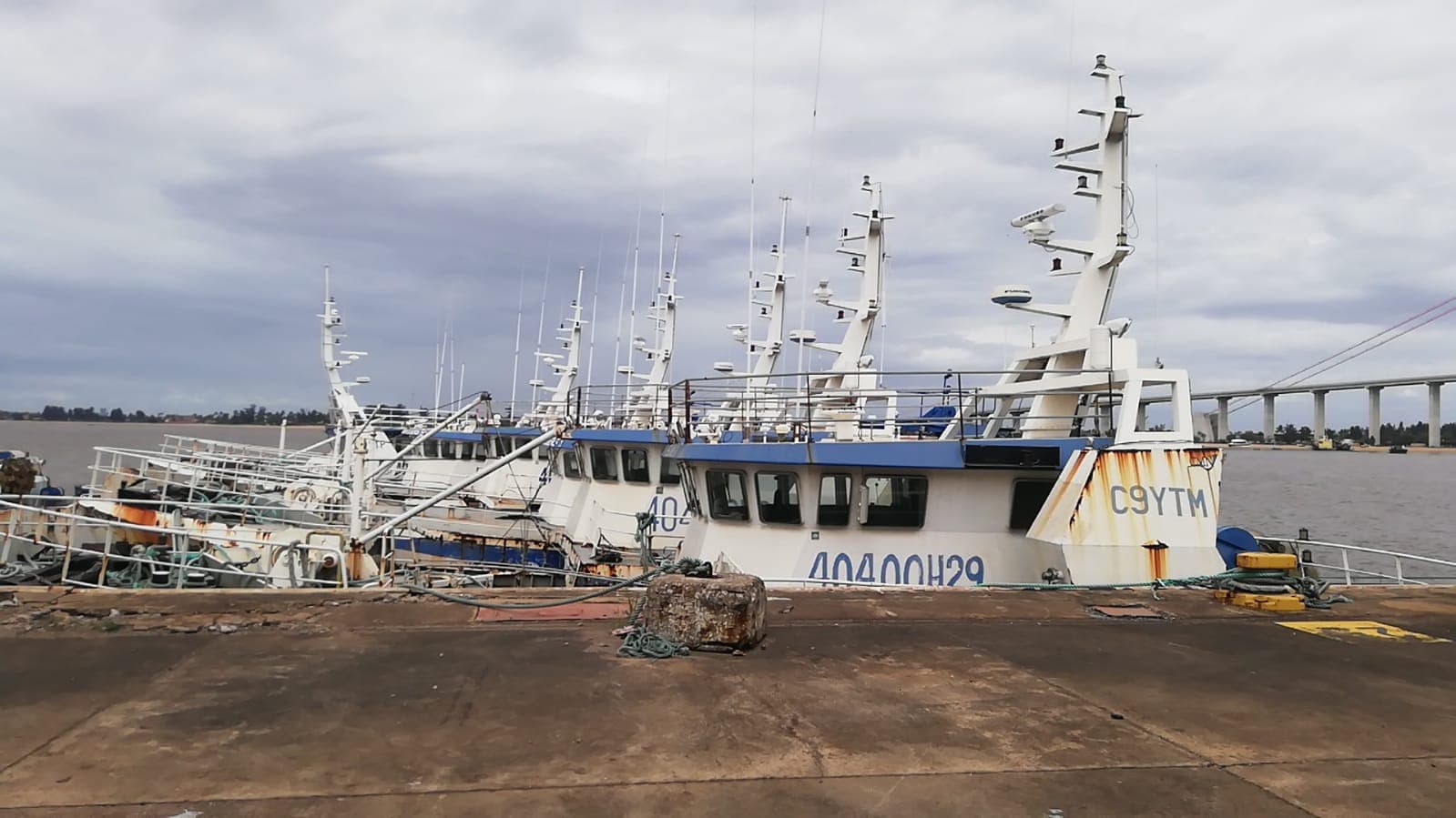 Três Atuneiros | Three Longliners - ALBACARES VI + PELAMIS I + PELAMIS VI — image 17