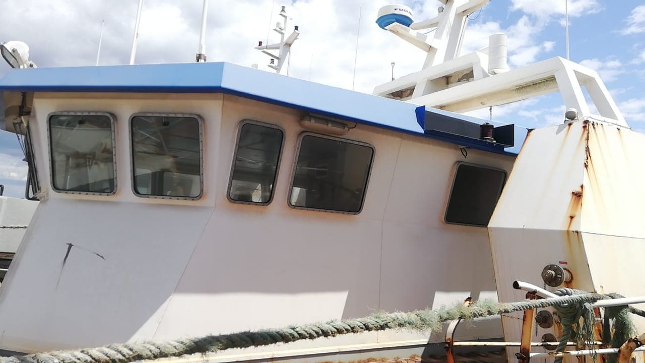 Três Atuneiros | Three Longliners - ALBACARES VI + PELAMIS I + PELAMIS VI — image 3