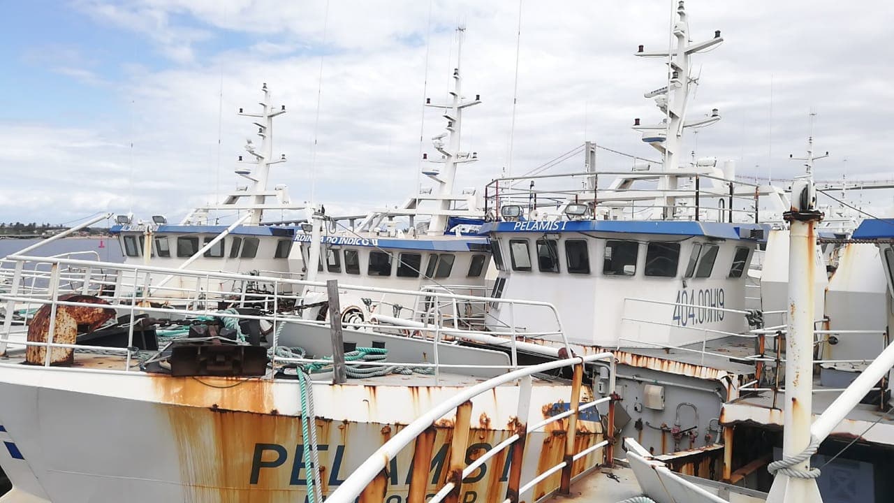 Três Atuneiros | Three Longliners - ALBACARES VI + PELAMIS I + PELAMIS VI — image 11