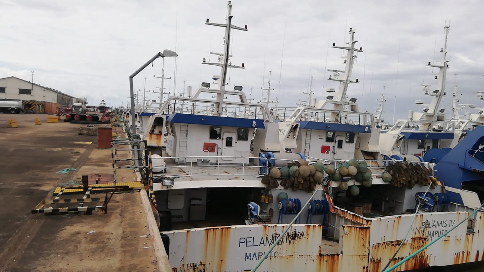 Três Atuneiros | Three Longliners - ALBACARES VI + PELAMIS I + PELAMIS VI — image 19