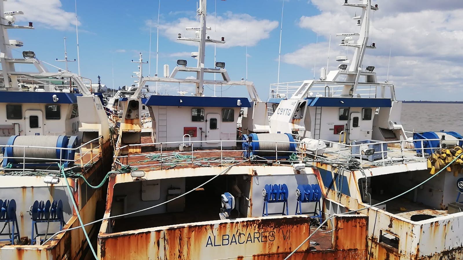 Três Atuneiros | Three Longliners - ALBACARES VI + PELAMIS I + PELAMIS VI — image 2