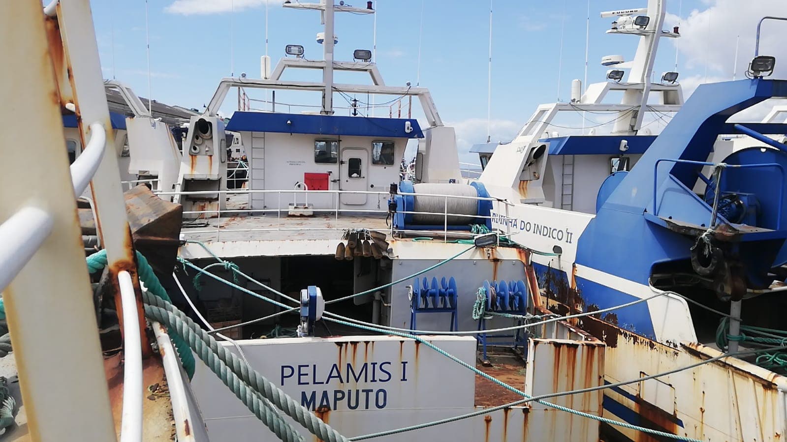 Três Atuneiros | Three Longliners - ALBACARES VI + PELAMIS I + PELAMIS VI — image 8