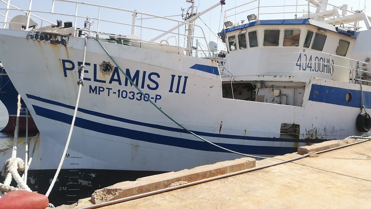 Dois Atuneiros e Um Arrastão | Two Longliners and One Trawler - ALBACARES VII + PELAMIS III + SARDINHA I — imagem 18