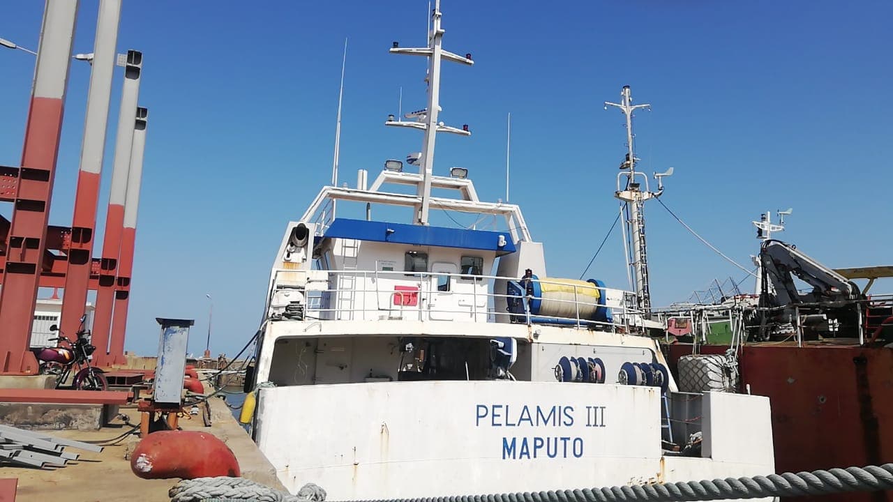 Dois Atuneiros e Um Arrastão | Two Longliners and One Trawler - ALBACARES VII + PELAMIS III + SARDINHA I — imagem 20