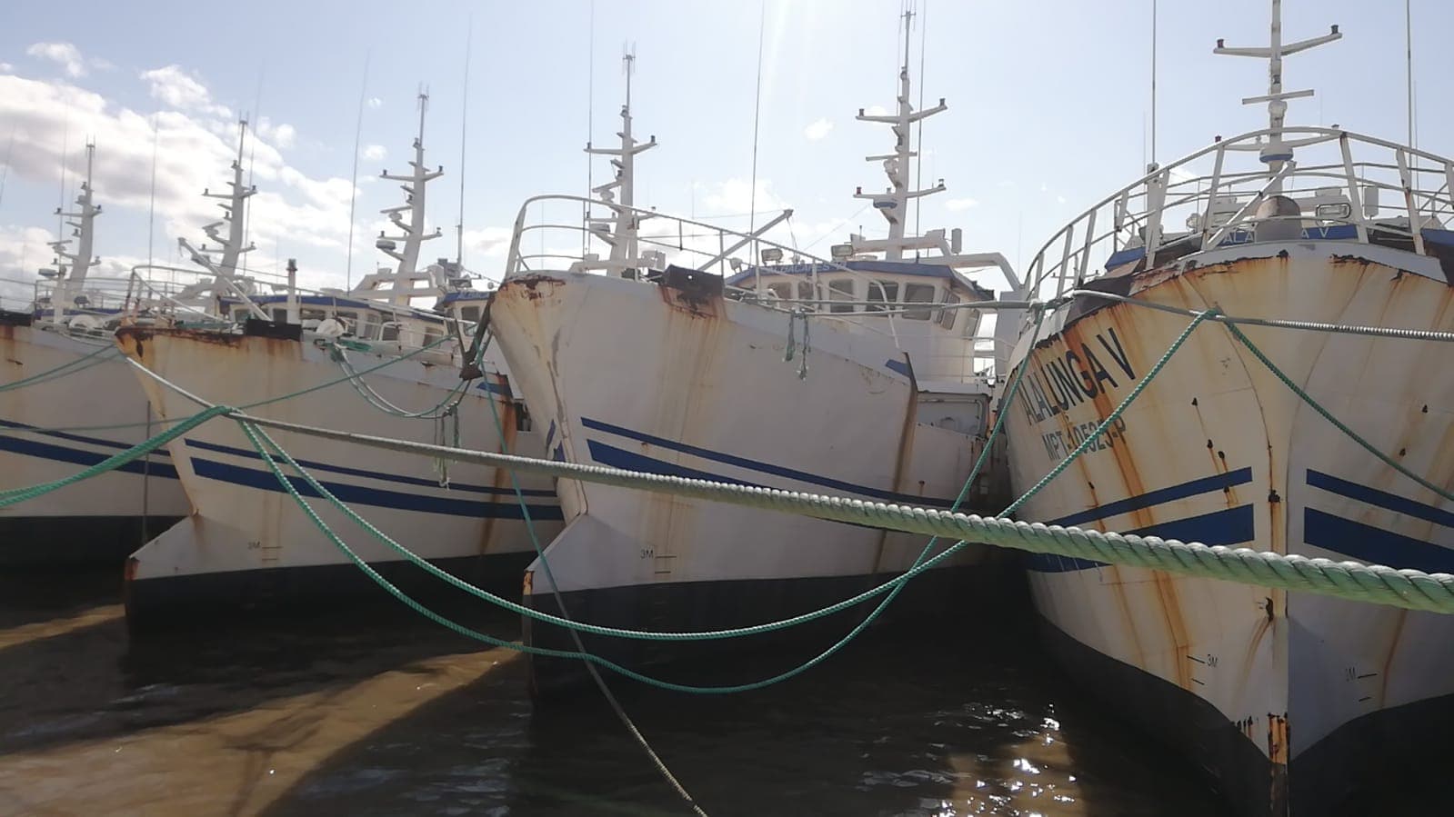 Dois Atuneiros e Um Arrastão | Two Longliners and One Trawler - ALBACARES VII + PELAMIS III + SARDINHA I — imagem 2