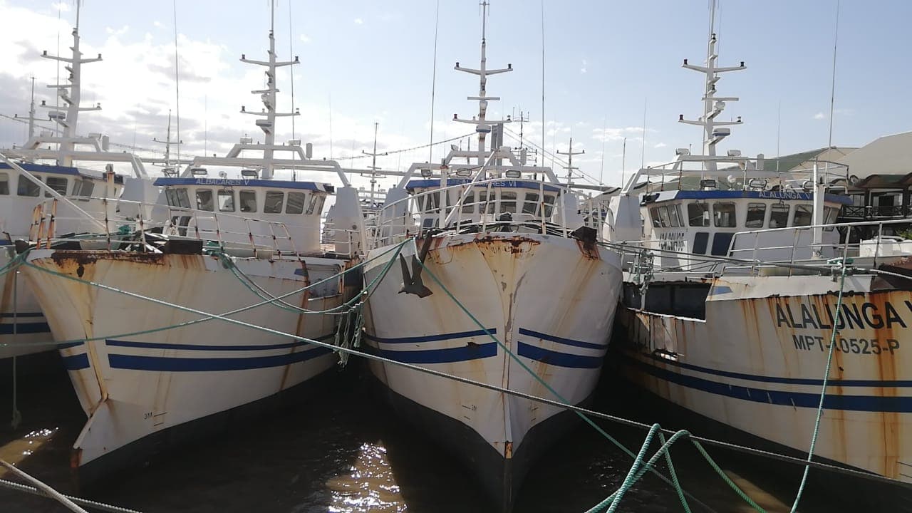 Dois Atuneiros e Um Arrastão | Two Longliners and One Trawler - ALBACARES VII + PELAMIS III + SARDINHA I — imagem 1