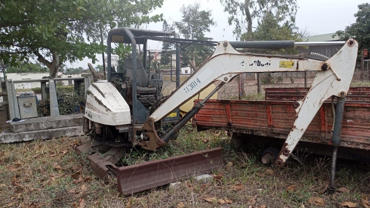 Bobcat — imagem 2