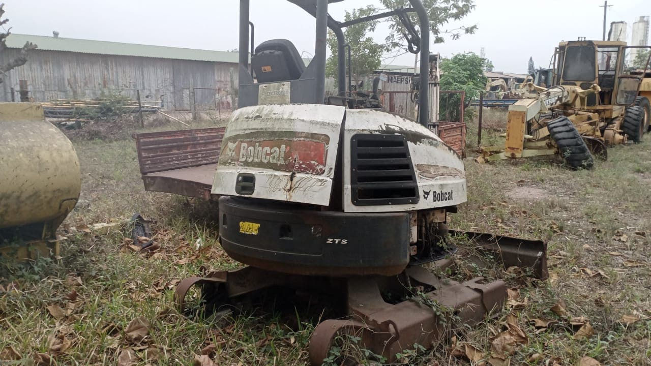 Bobcat — imagem 3