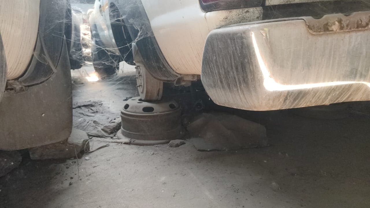 Nissan Hardbod — image 3