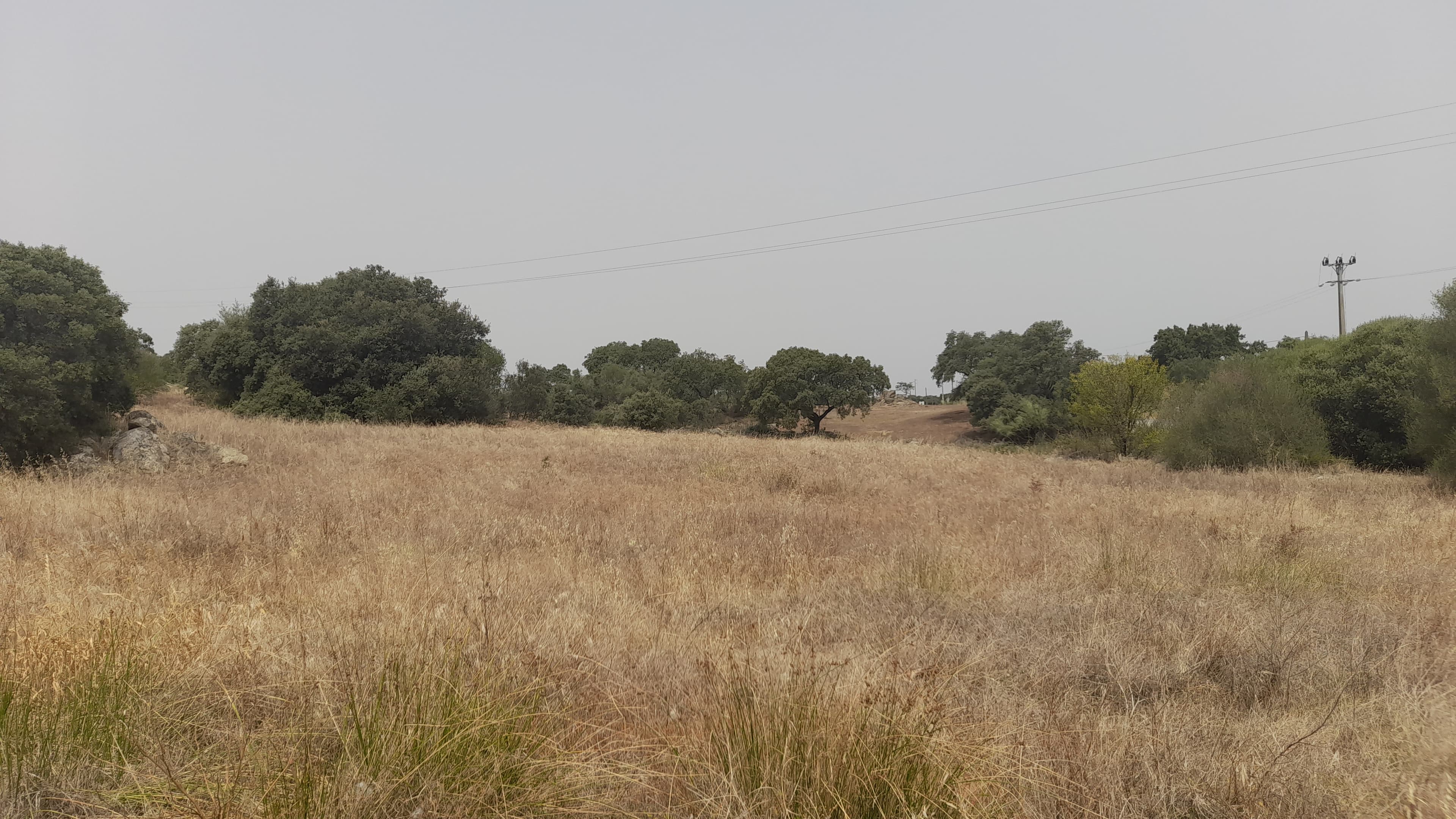 Lote para Construção · Redondo, Évora