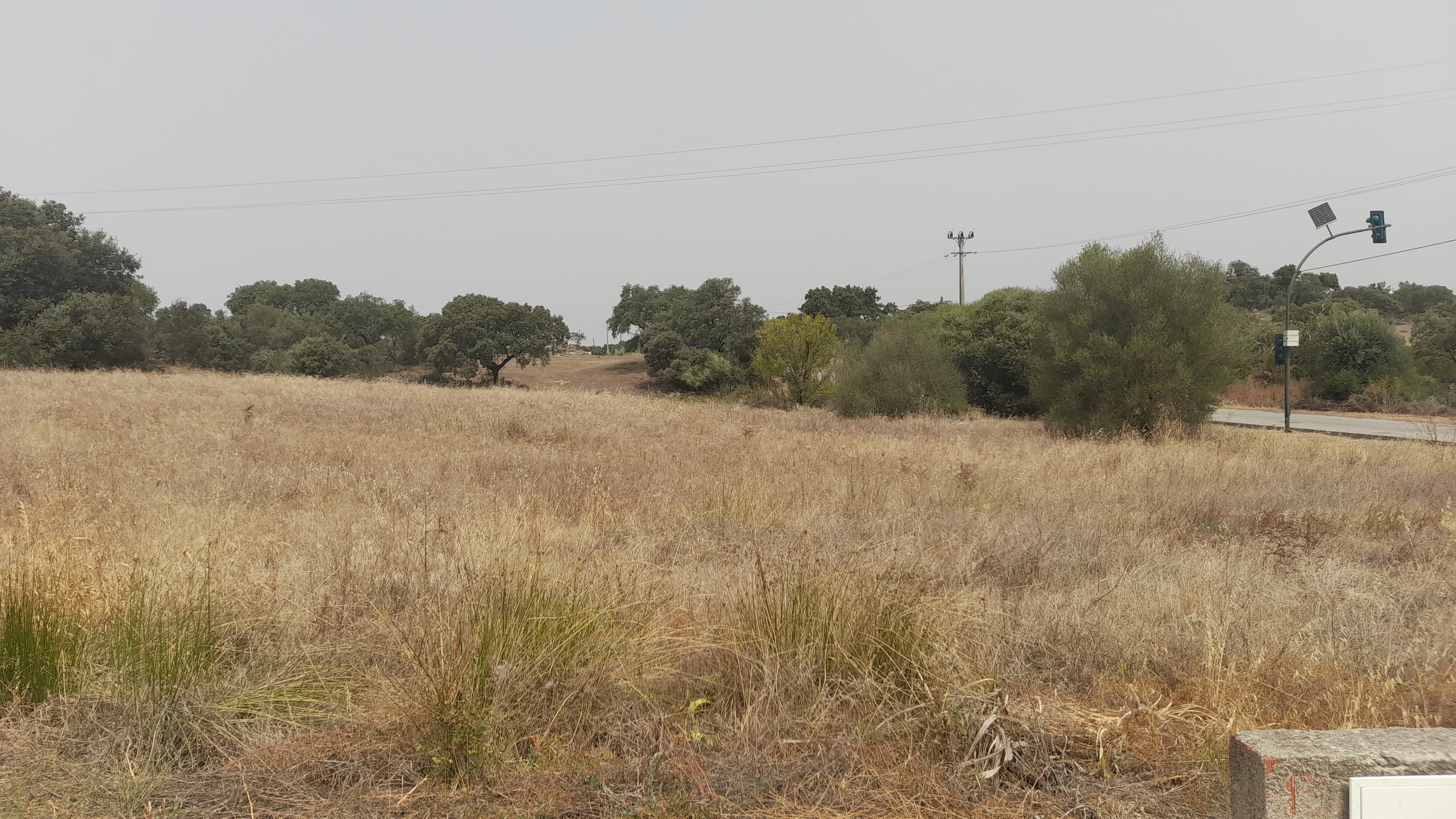 Lote para Construção · Redondo, Évora — image 2