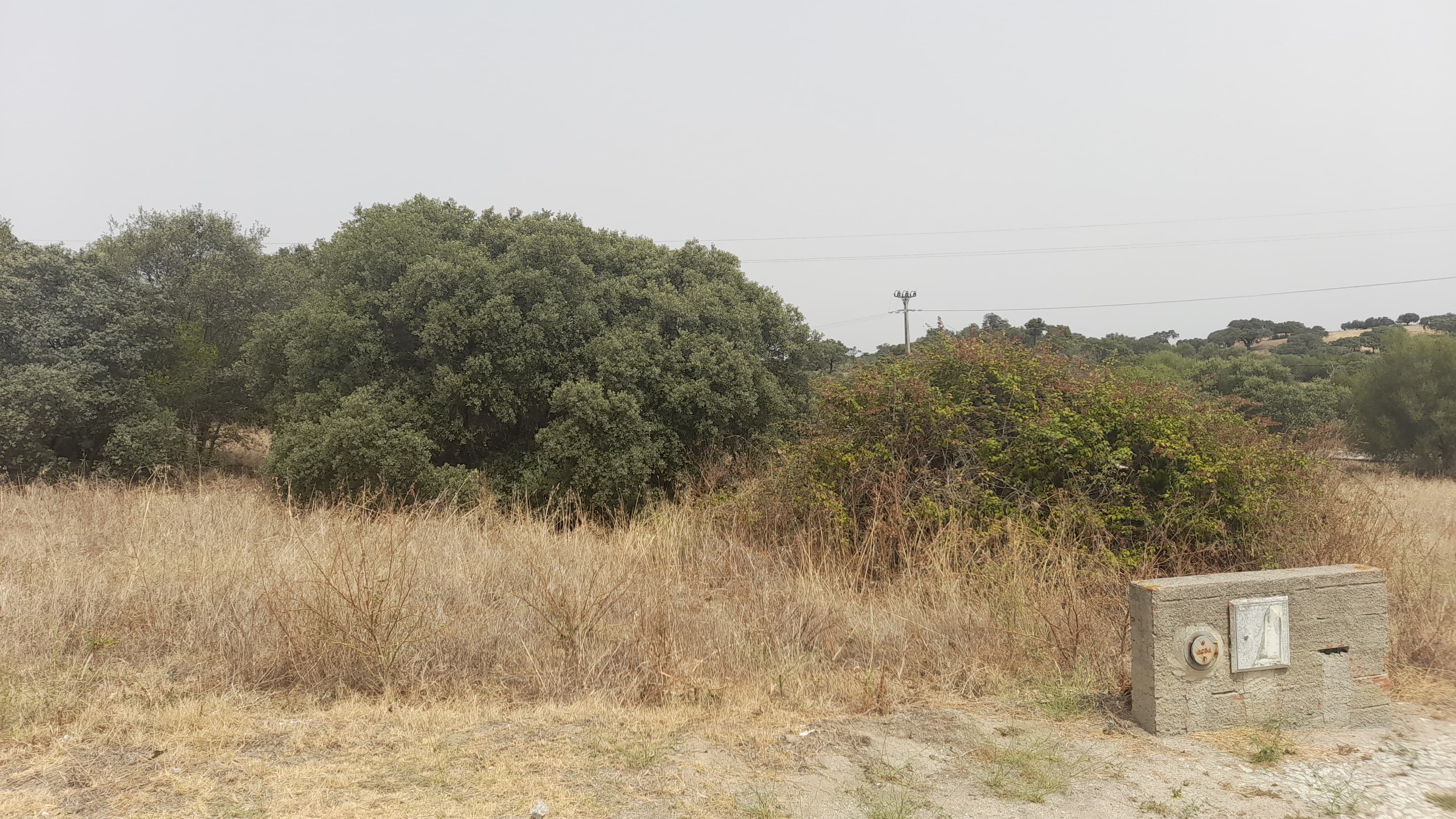 Lote para Construção · Redondo, Évora — imagem 2