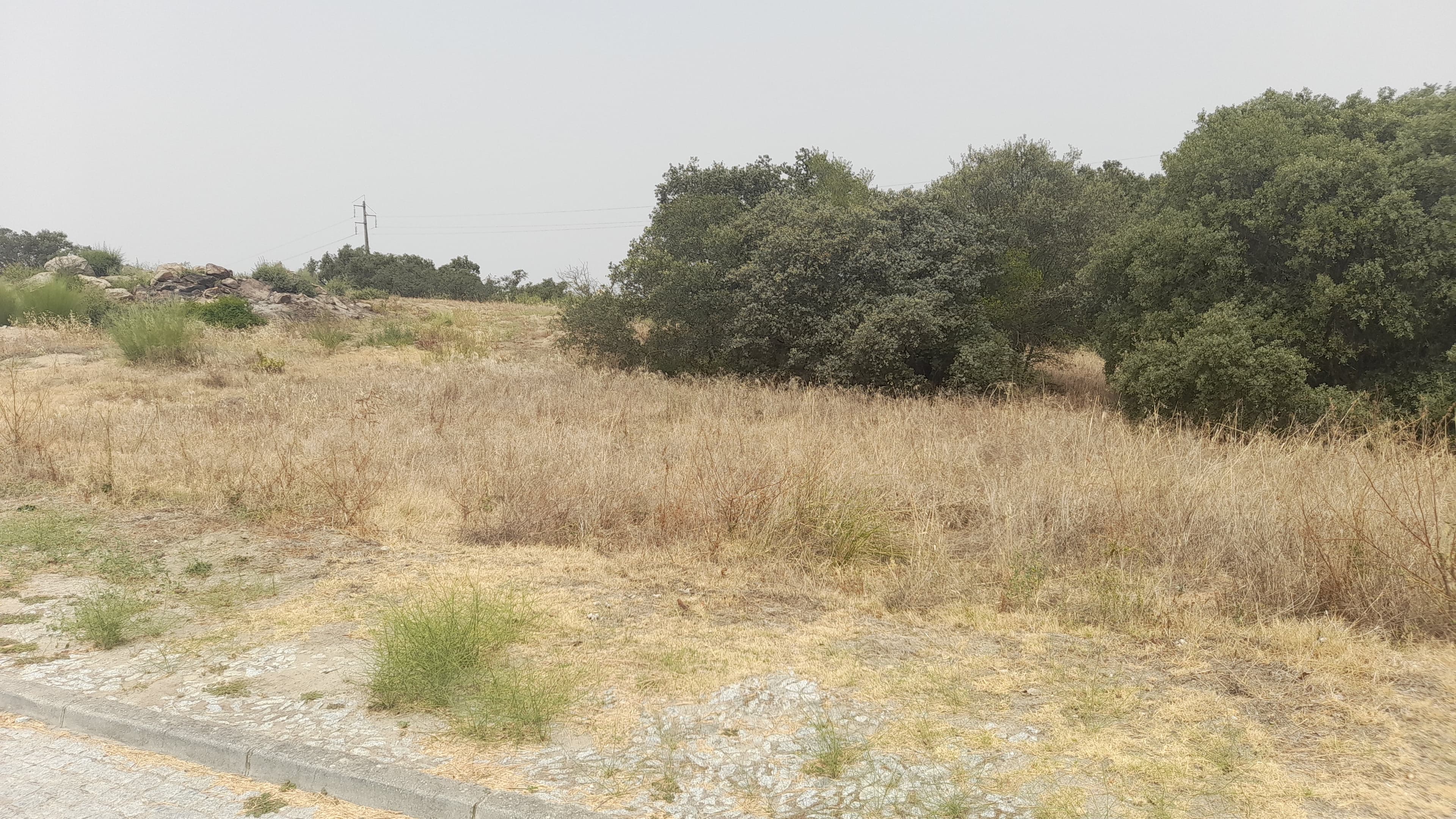 Lote para Construção · Redondo, Évora