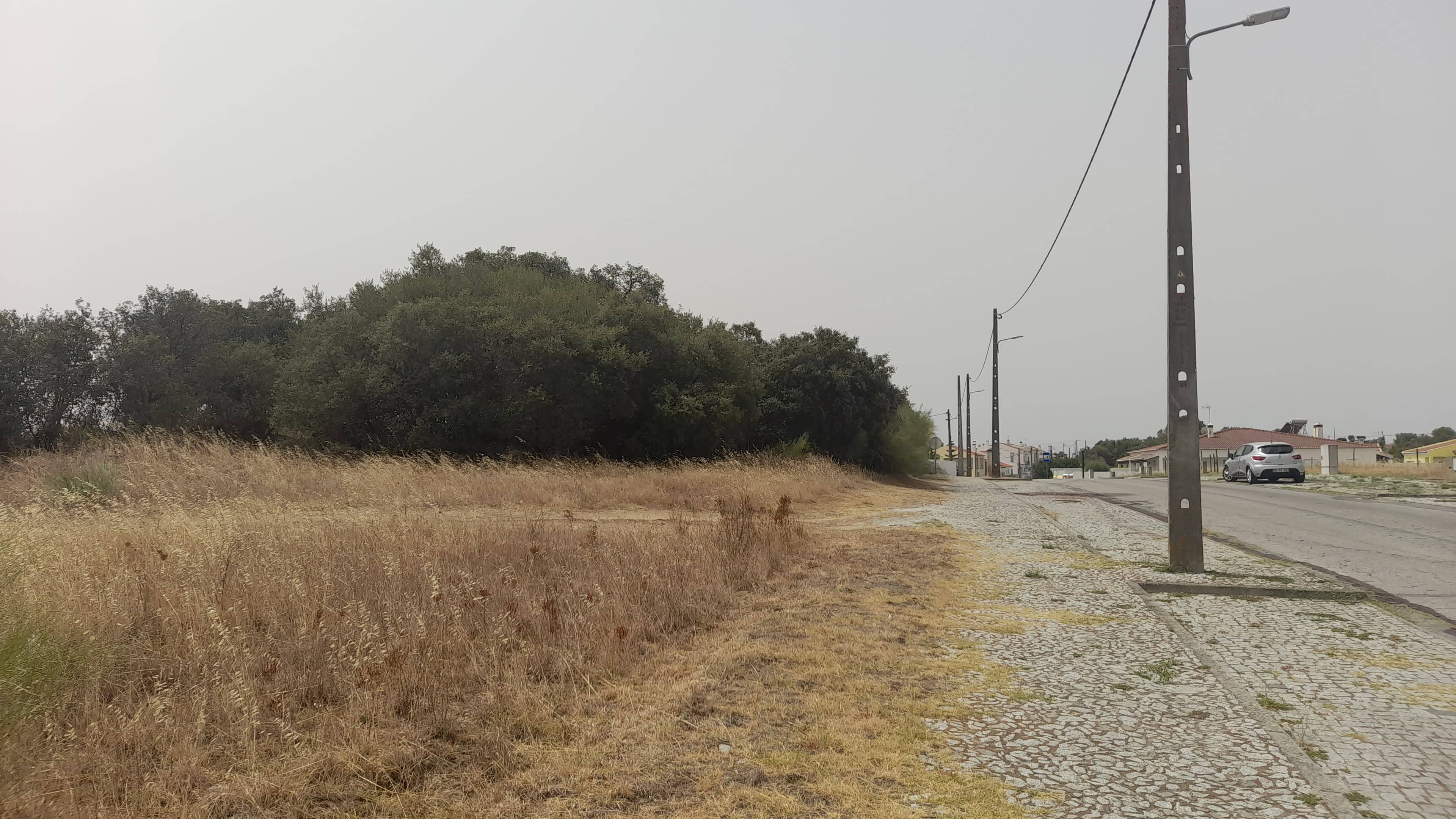 Lote para Construção · Redondo, Évora — imagem 6
