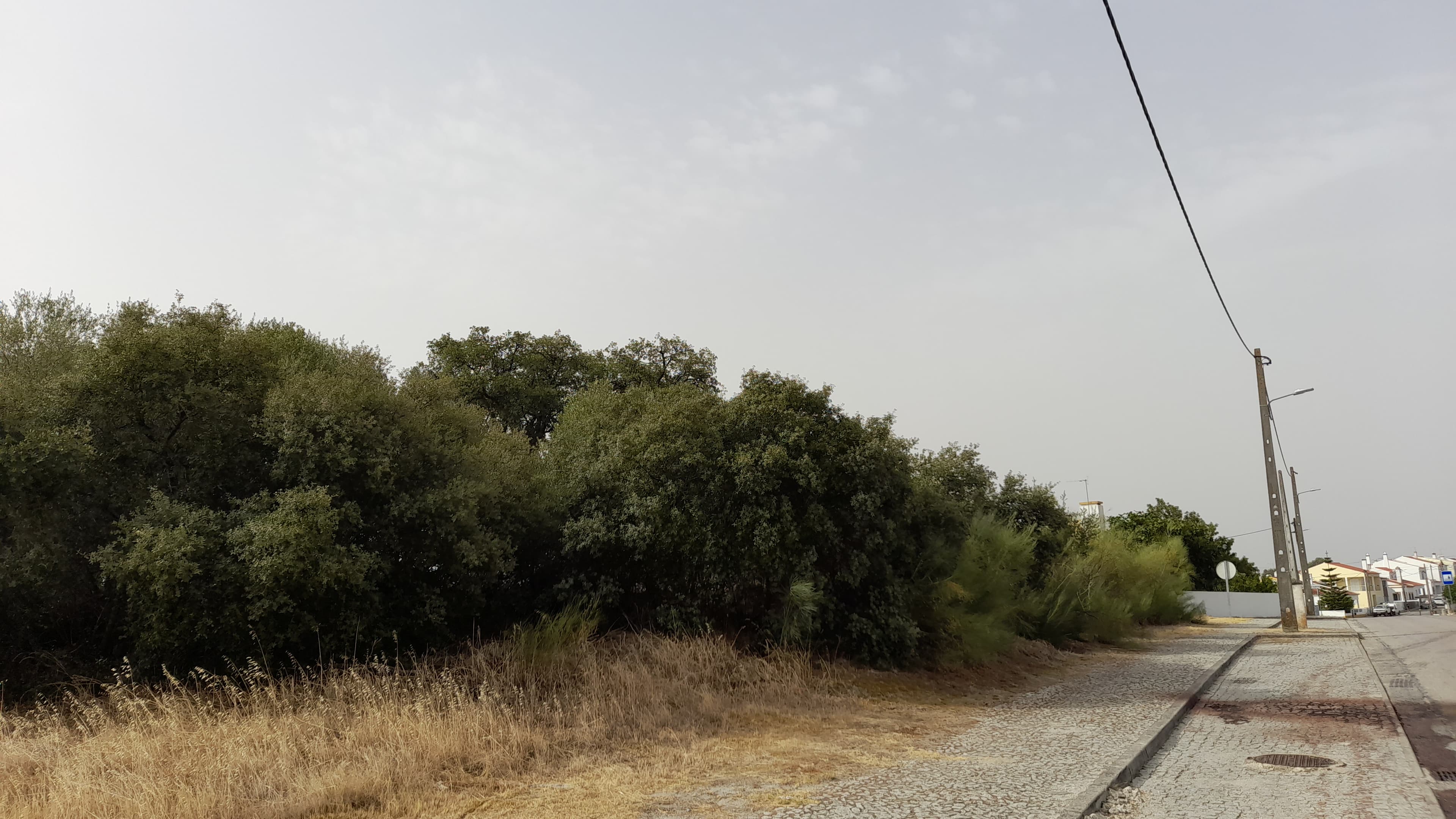 Lote para Construção · Redondo, Évora — imagem 3