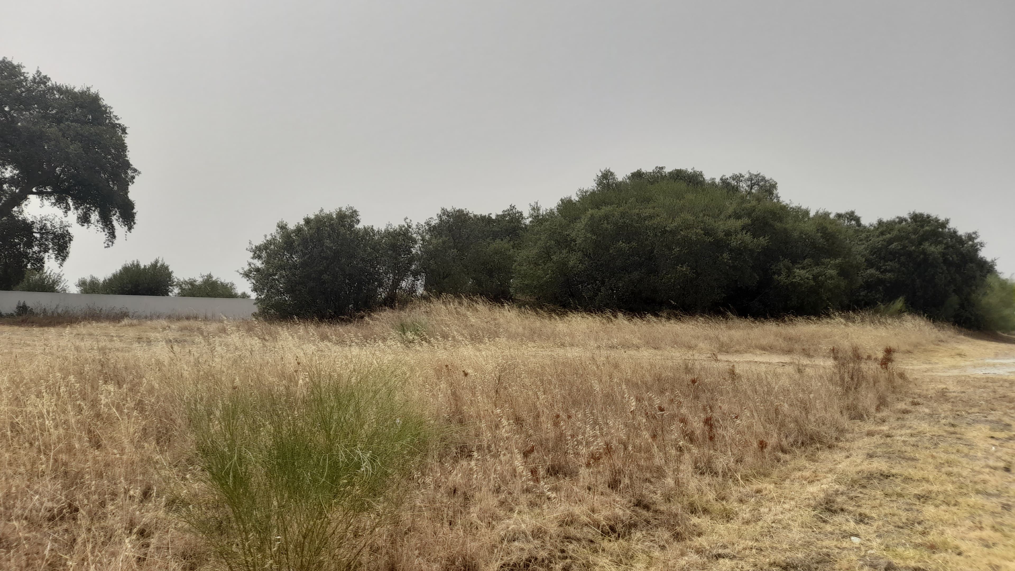 Lote para Construção · Redondo, Évora — imagem 5