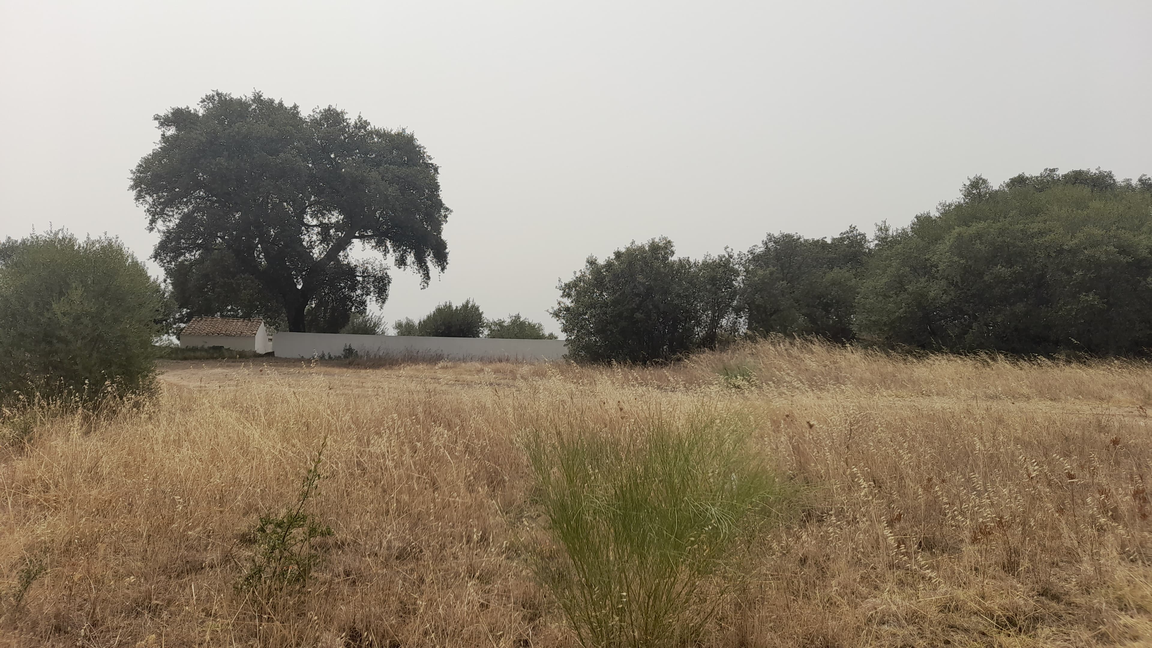 Lote para Construção · Redondo, Évora — imagem 4