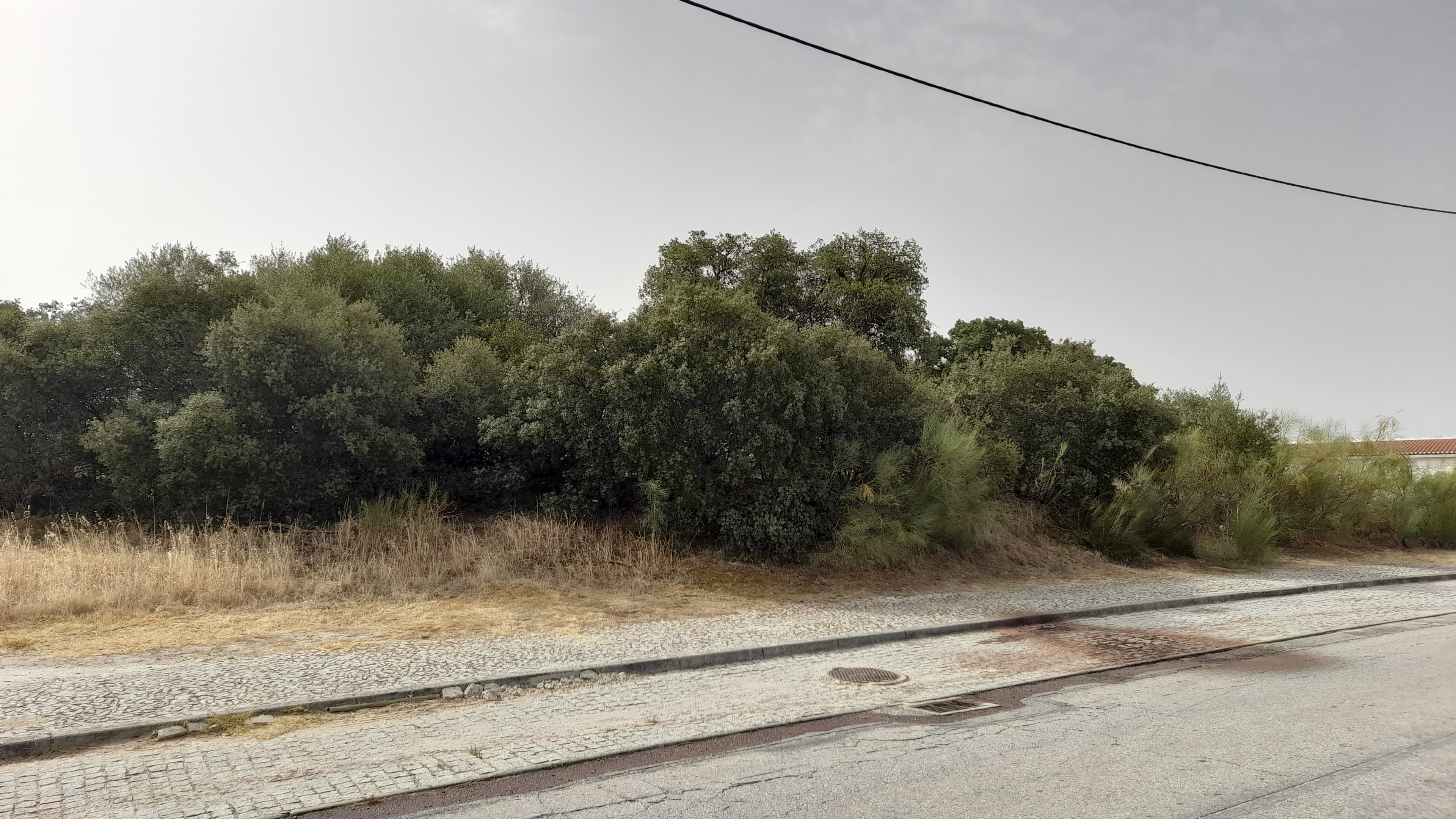 Lote para Construção · Redondo, Évora — imagem 1