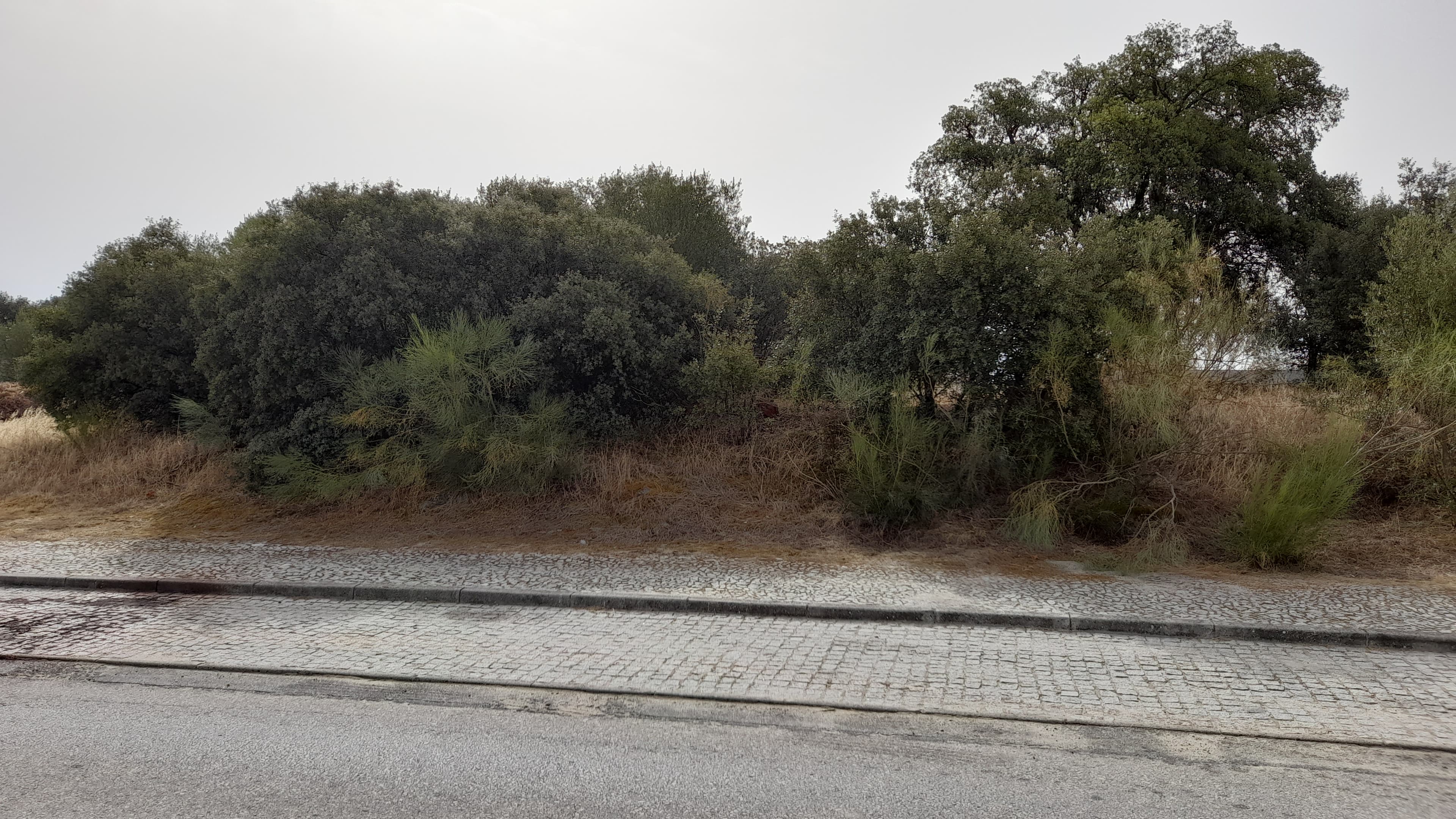Lote para Construção · Redondo, Évora — imagem 2