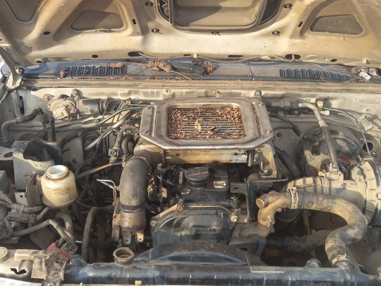 NISSAN HARDBODY — imagem 6