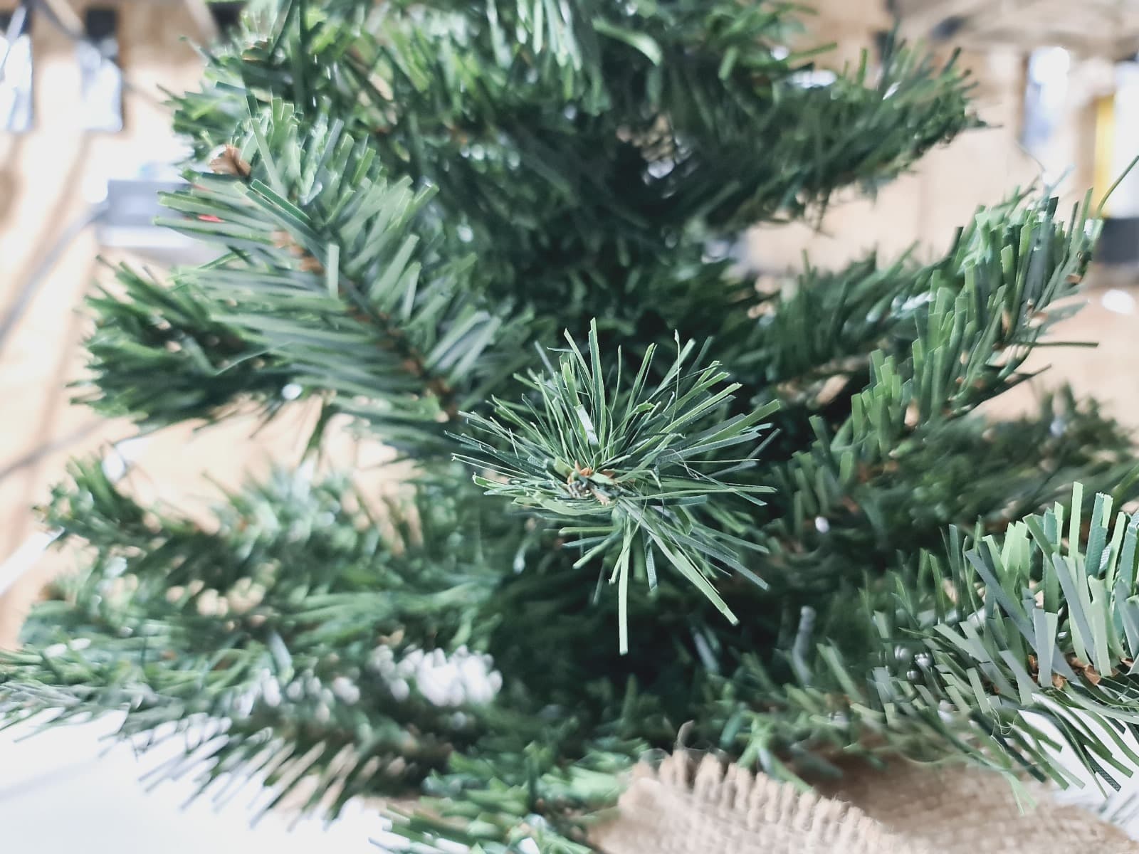 Árvores De Natal — image 2