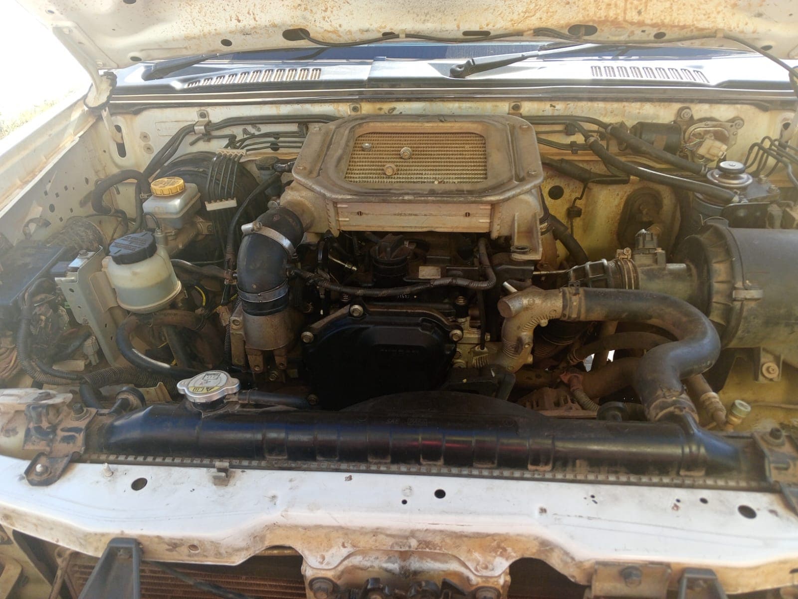 NISSAN HARDBODY — imagen 13