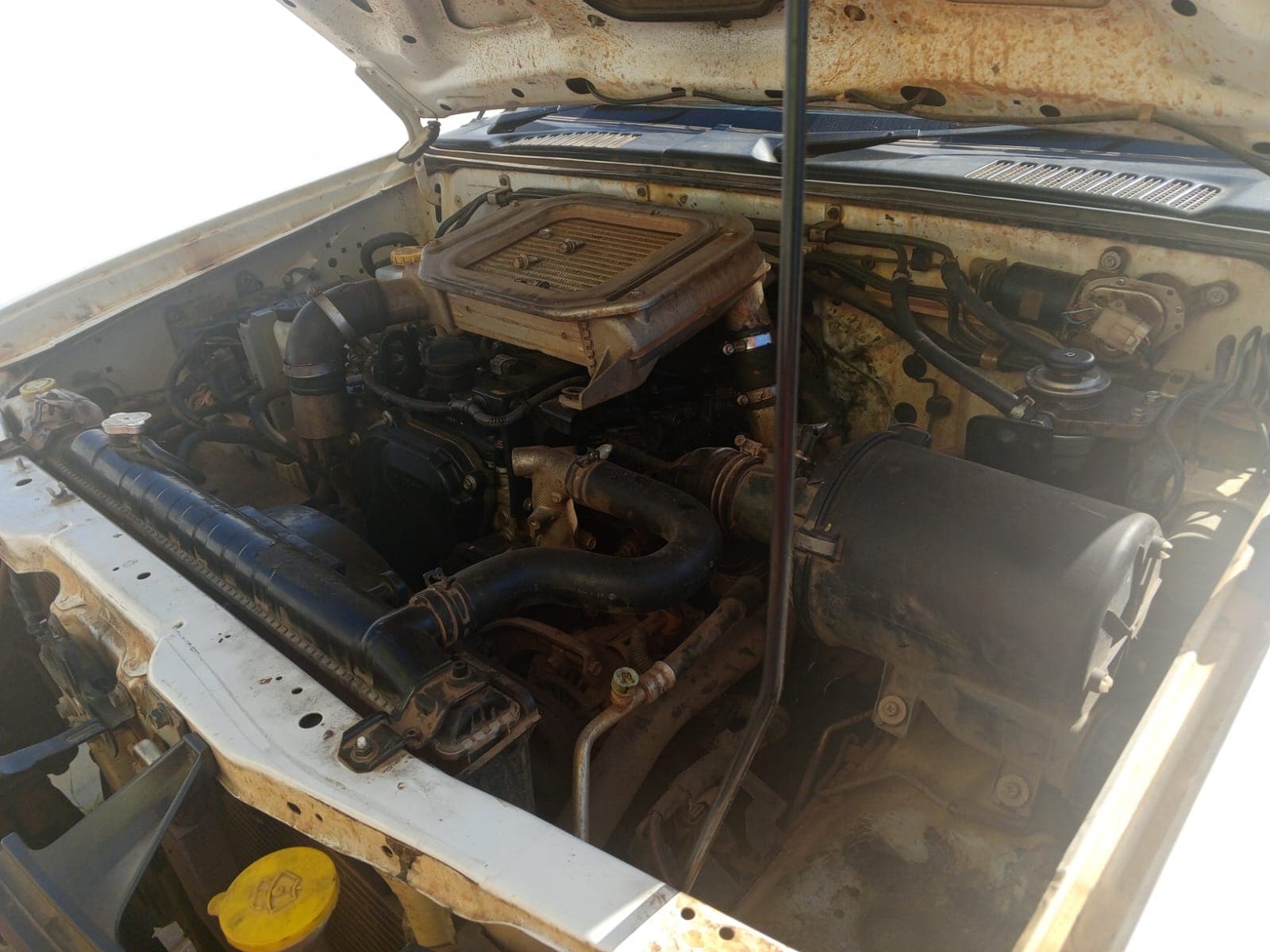 NISSAN HARDBODY — imagen 14