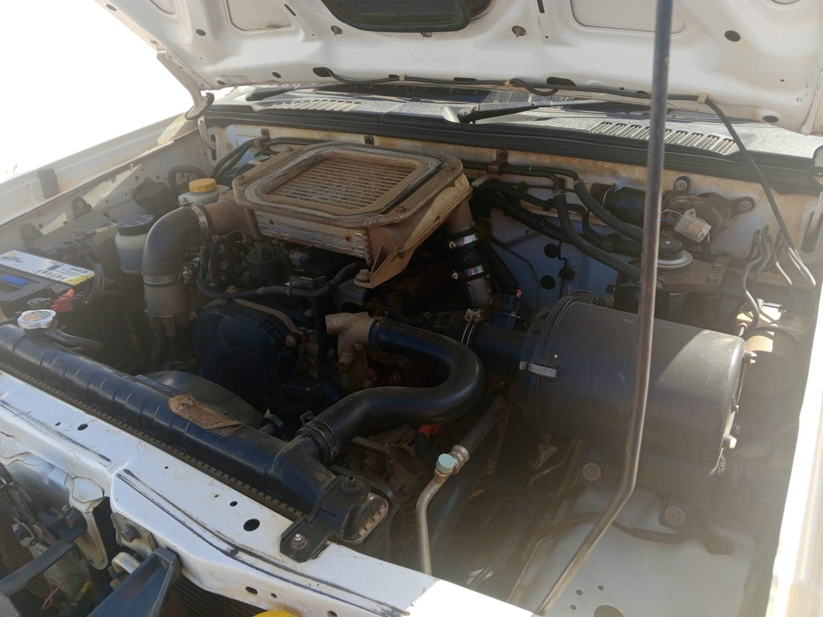 NISSAN HARDBODY — imagen 13