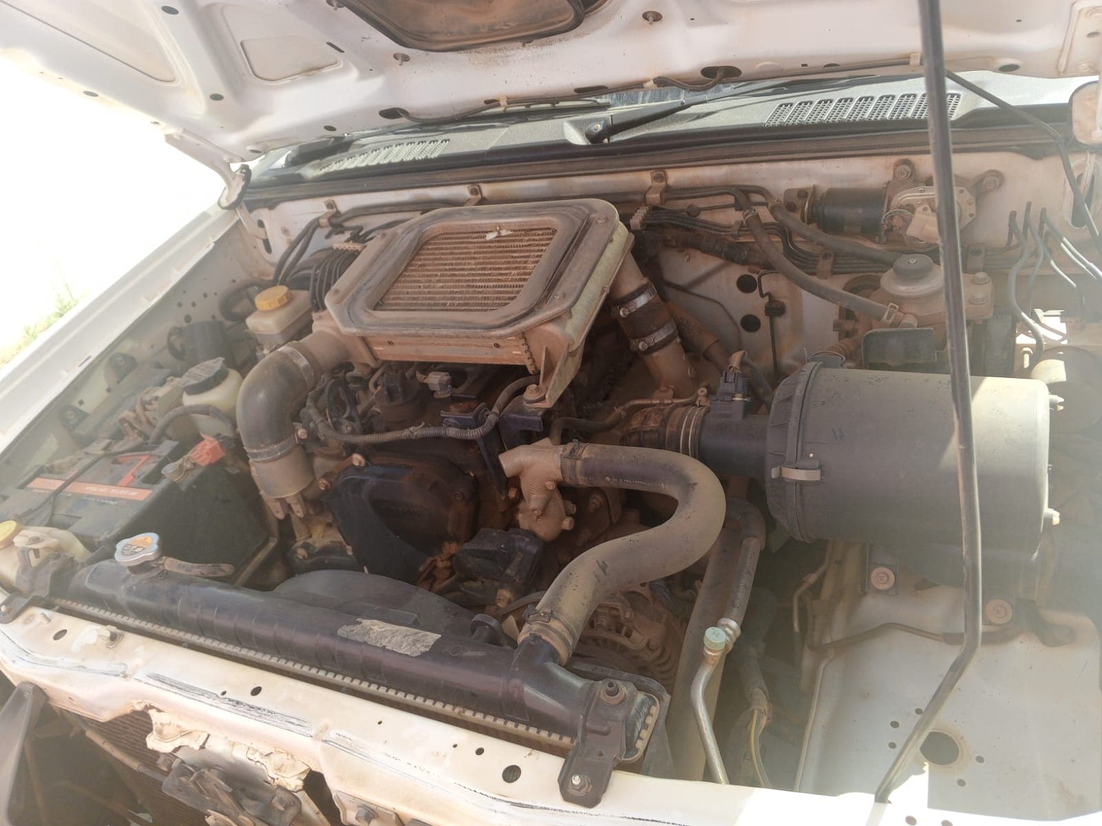 NISSAN HARDBODY — imagem 13