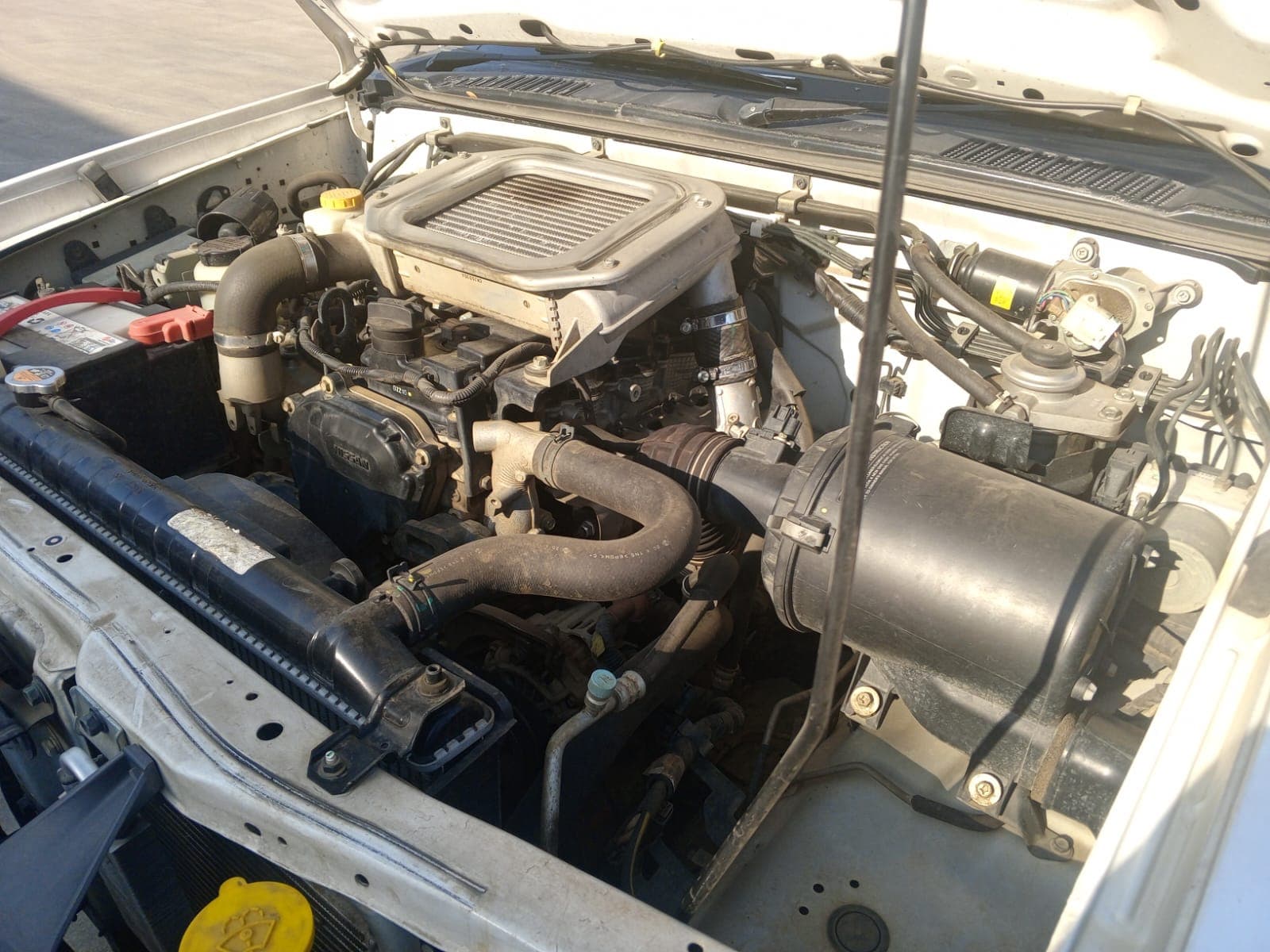 NISSAN HARDBODY — imagen 14