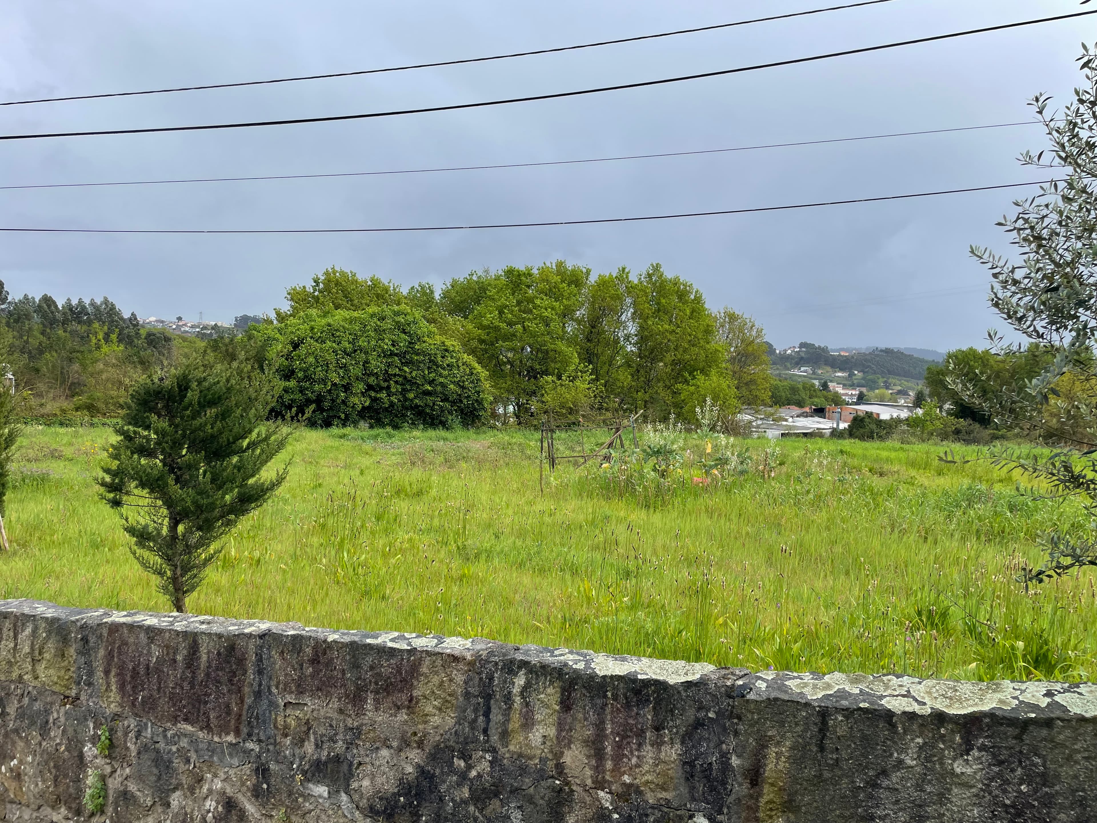Terreno · Paços de Ferreira — imagem 3