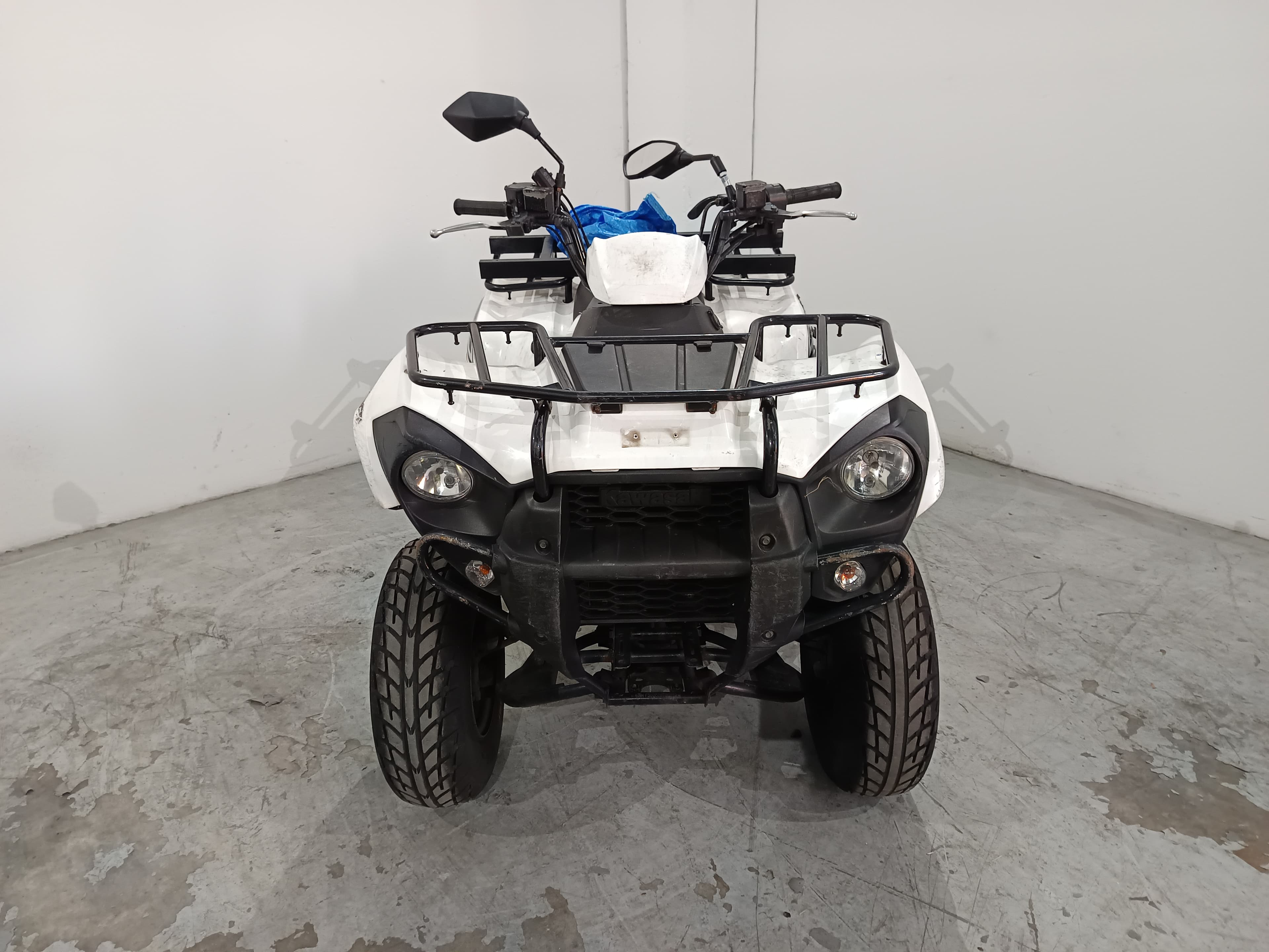 KAWASAKI  KVF300 · Ano 2015 — imagen 2