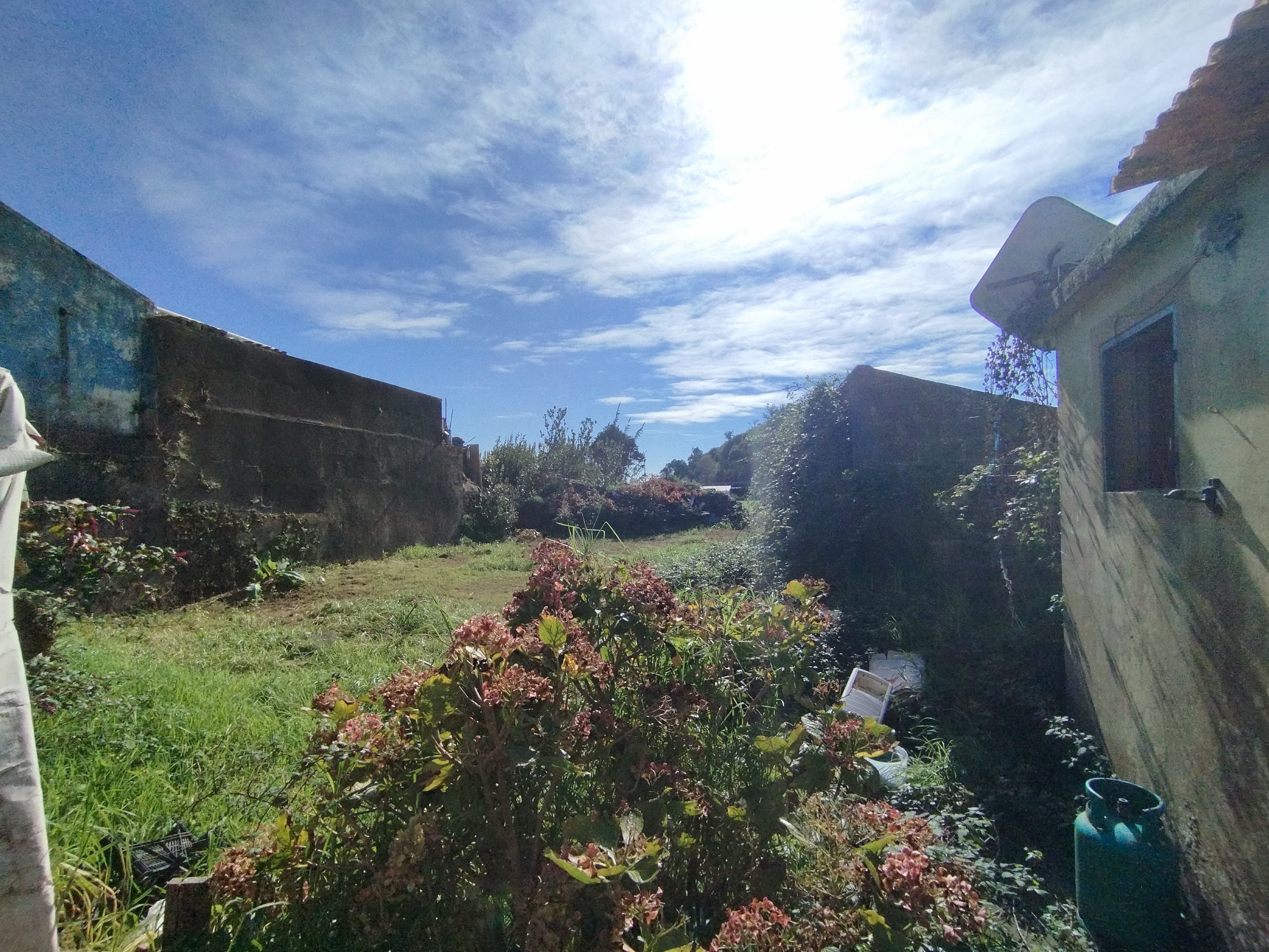 Moradia · Ponta Delgada, Arquipélago dos Açores — image 10