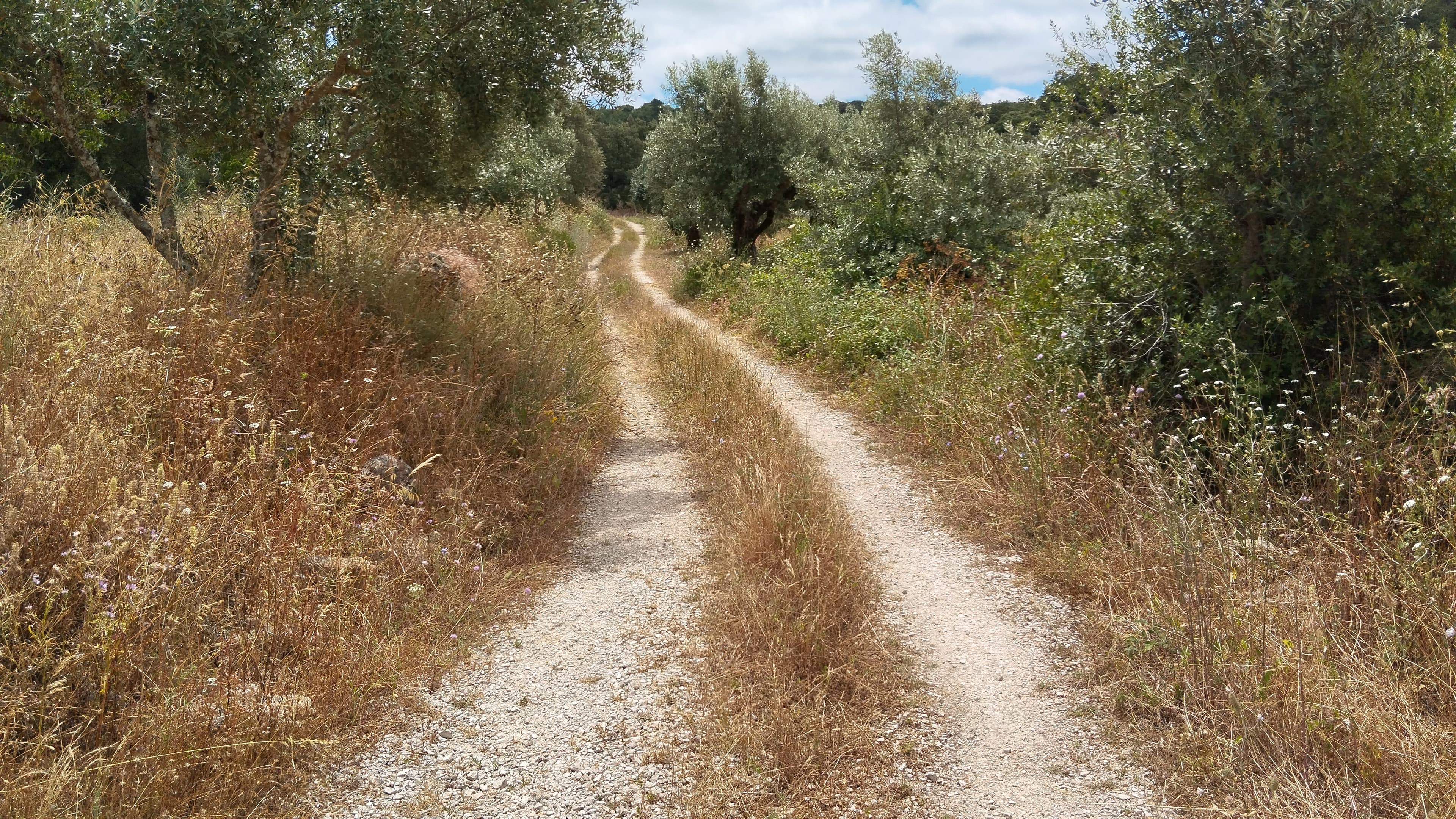 Terreno · Ferreira do Zêzere, Santarém — image 2