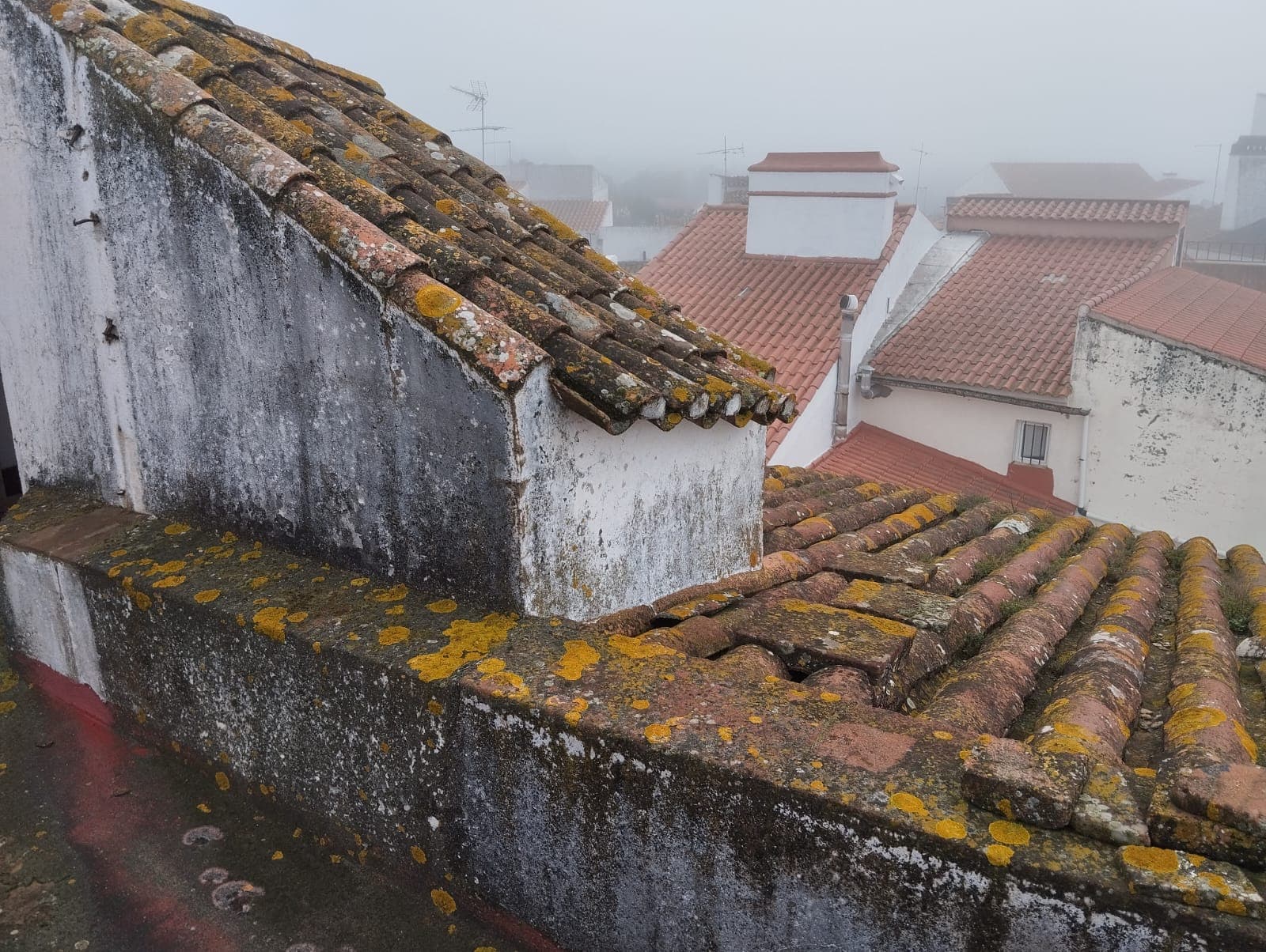 Edifício para Renovação · Elvas — imagen 15
