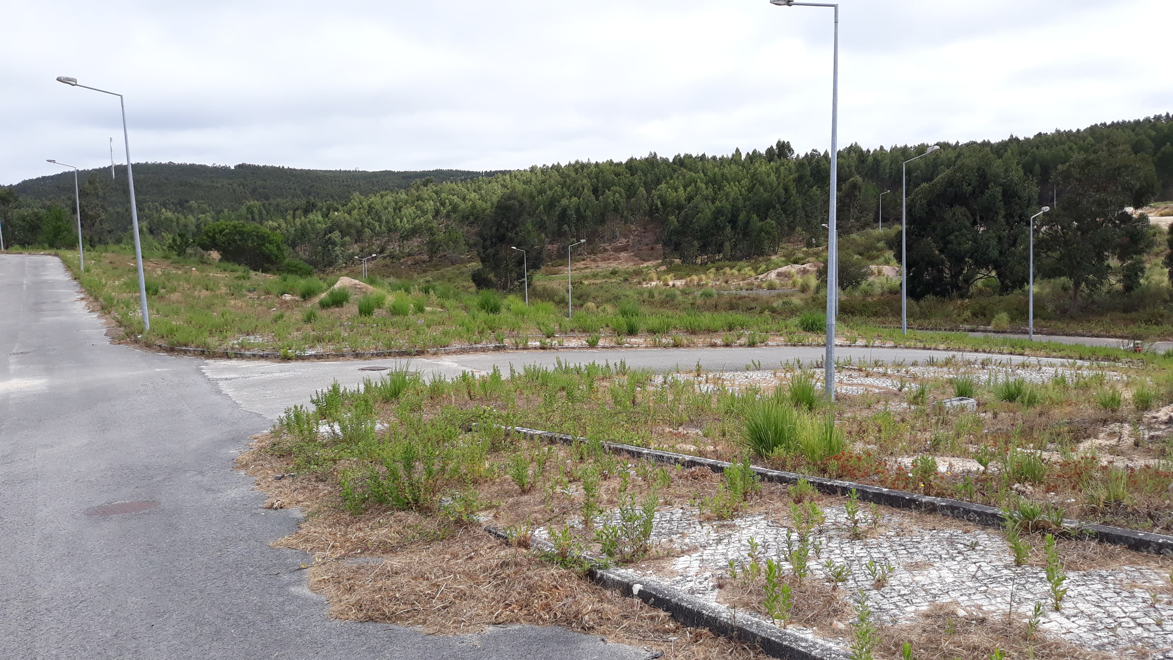 Lote para Construção · Torres Vedras — image 2