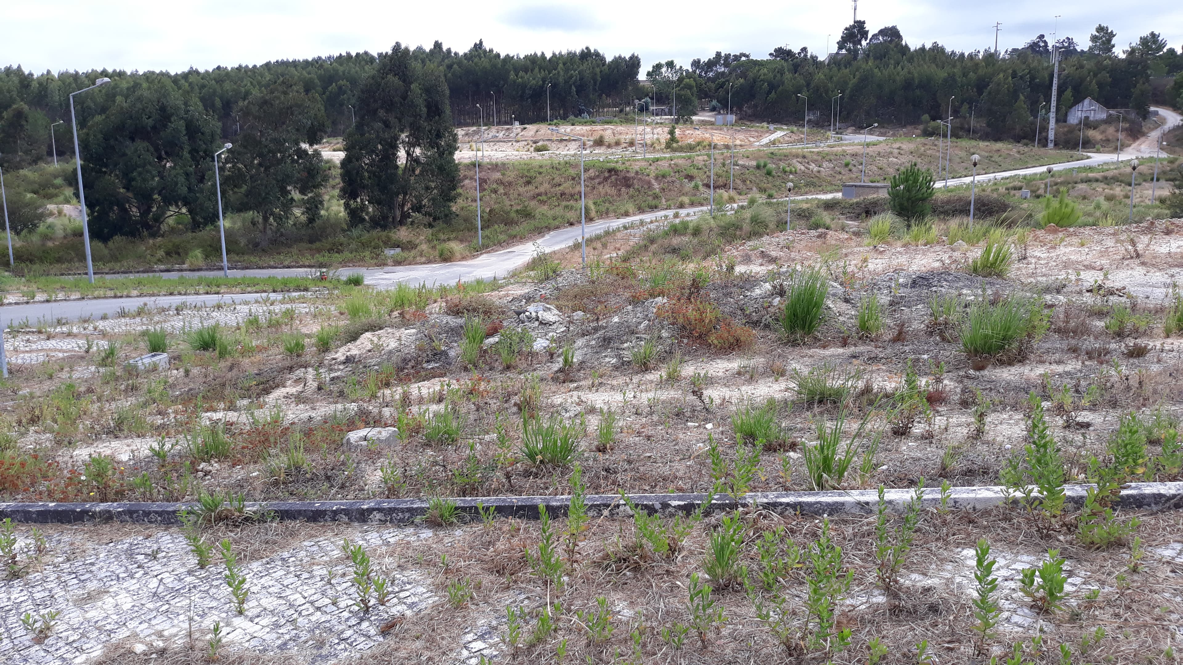 Lote para Construção · Torres Vedras — imagen 3