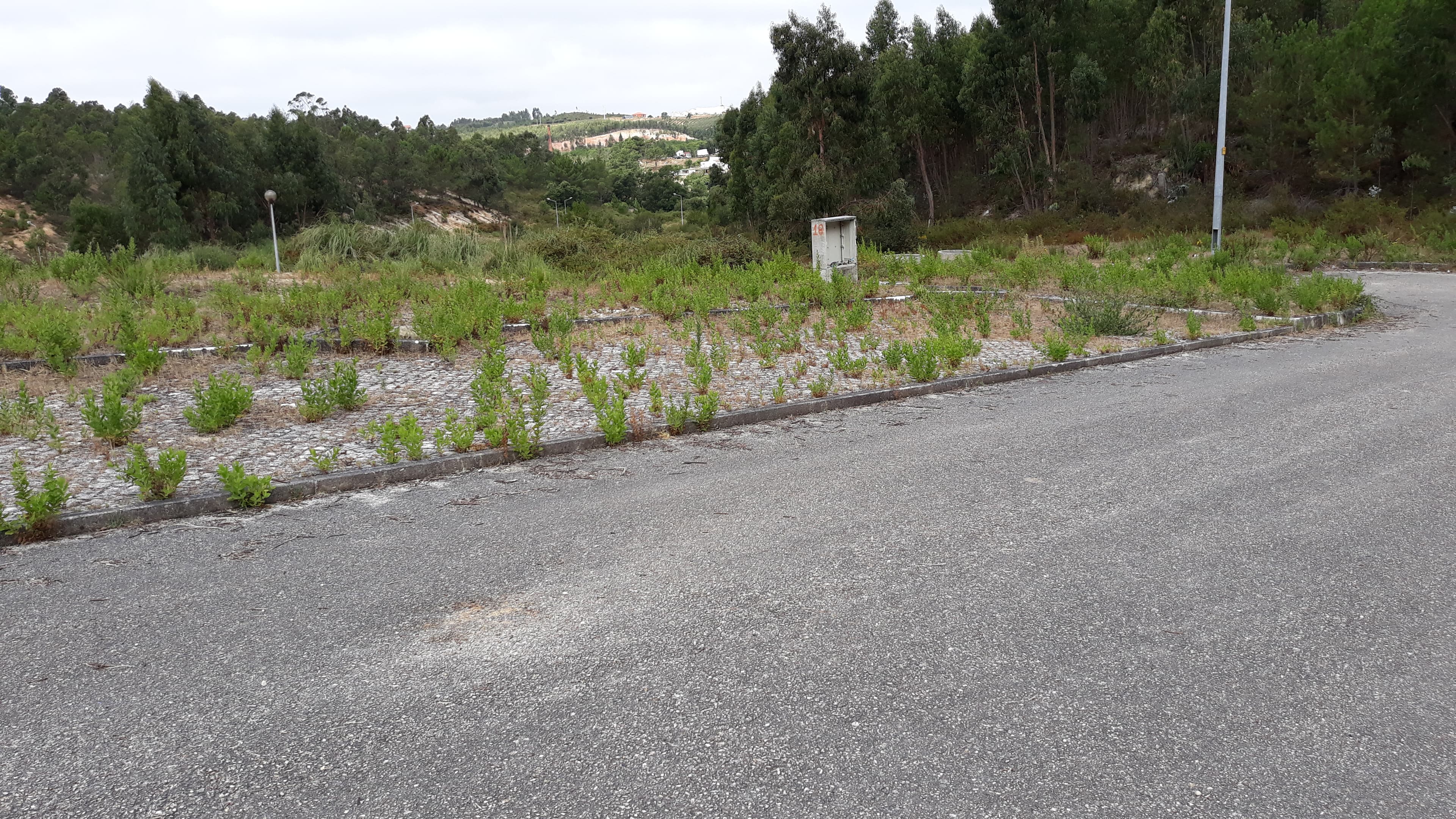 Lote para Construção · Torres Vedras — image 3