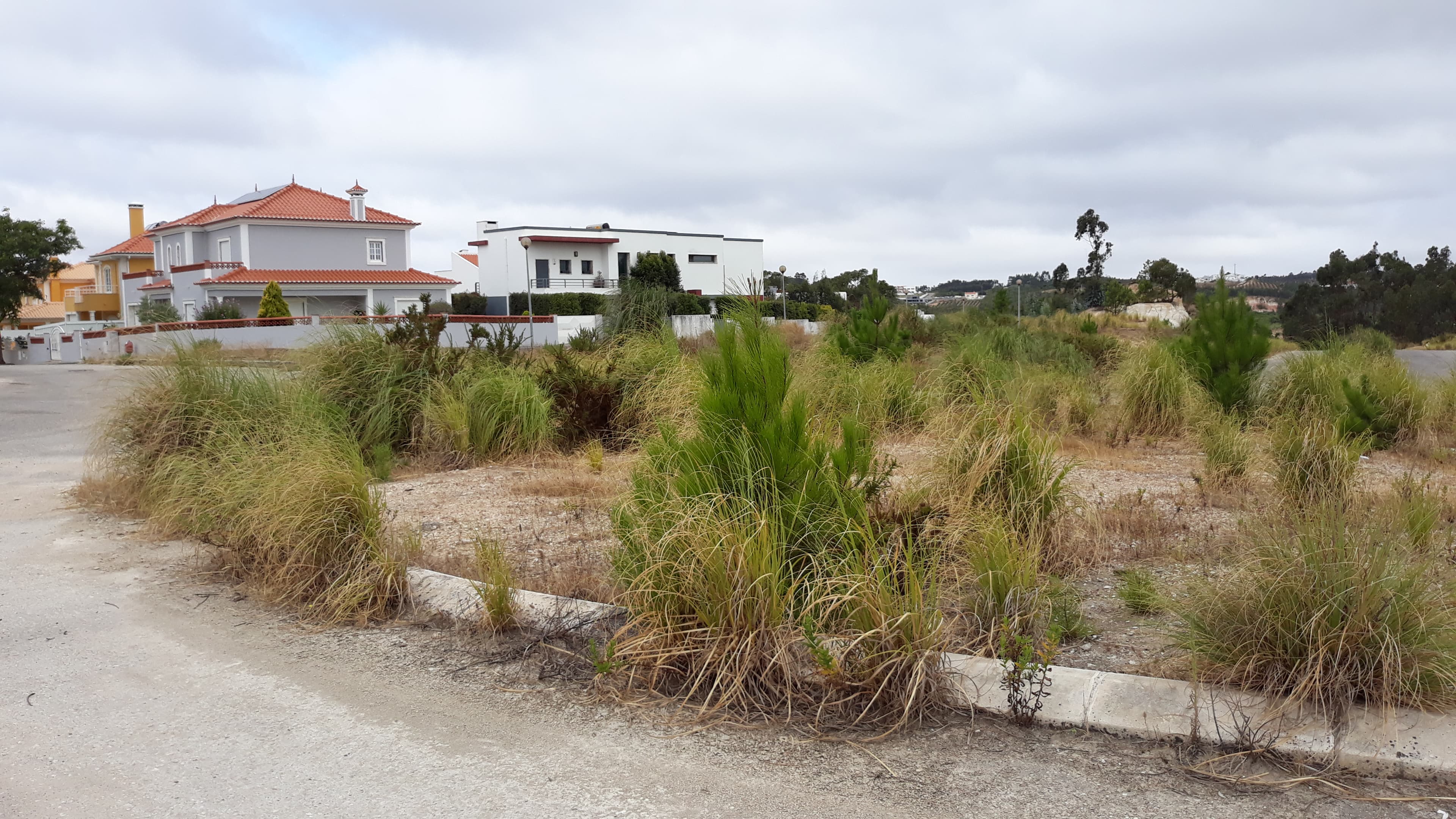 Parcela para Construcción · Torres Vedras