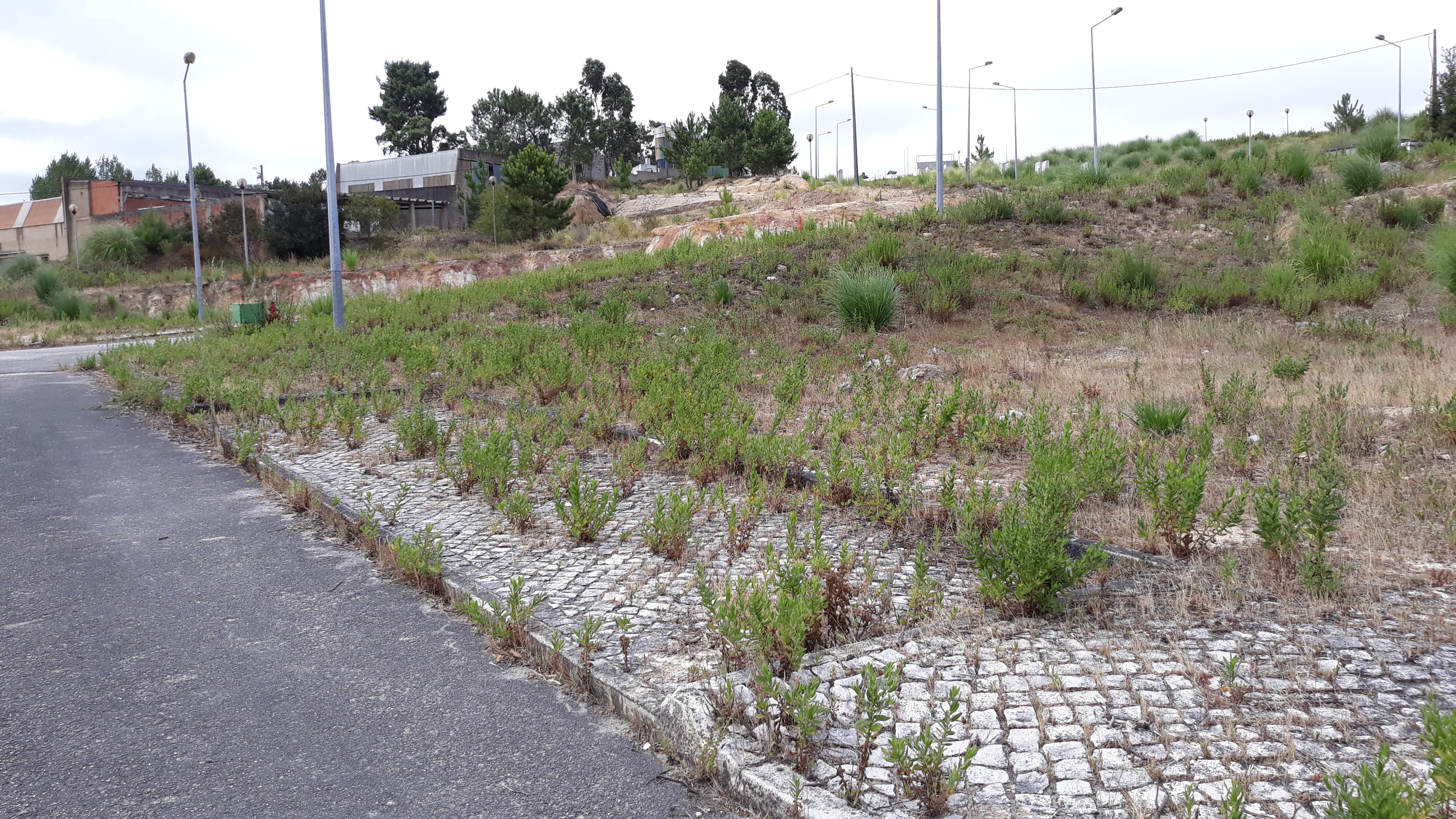 Parcela para Construcción · Torres Vedras — imagen 4