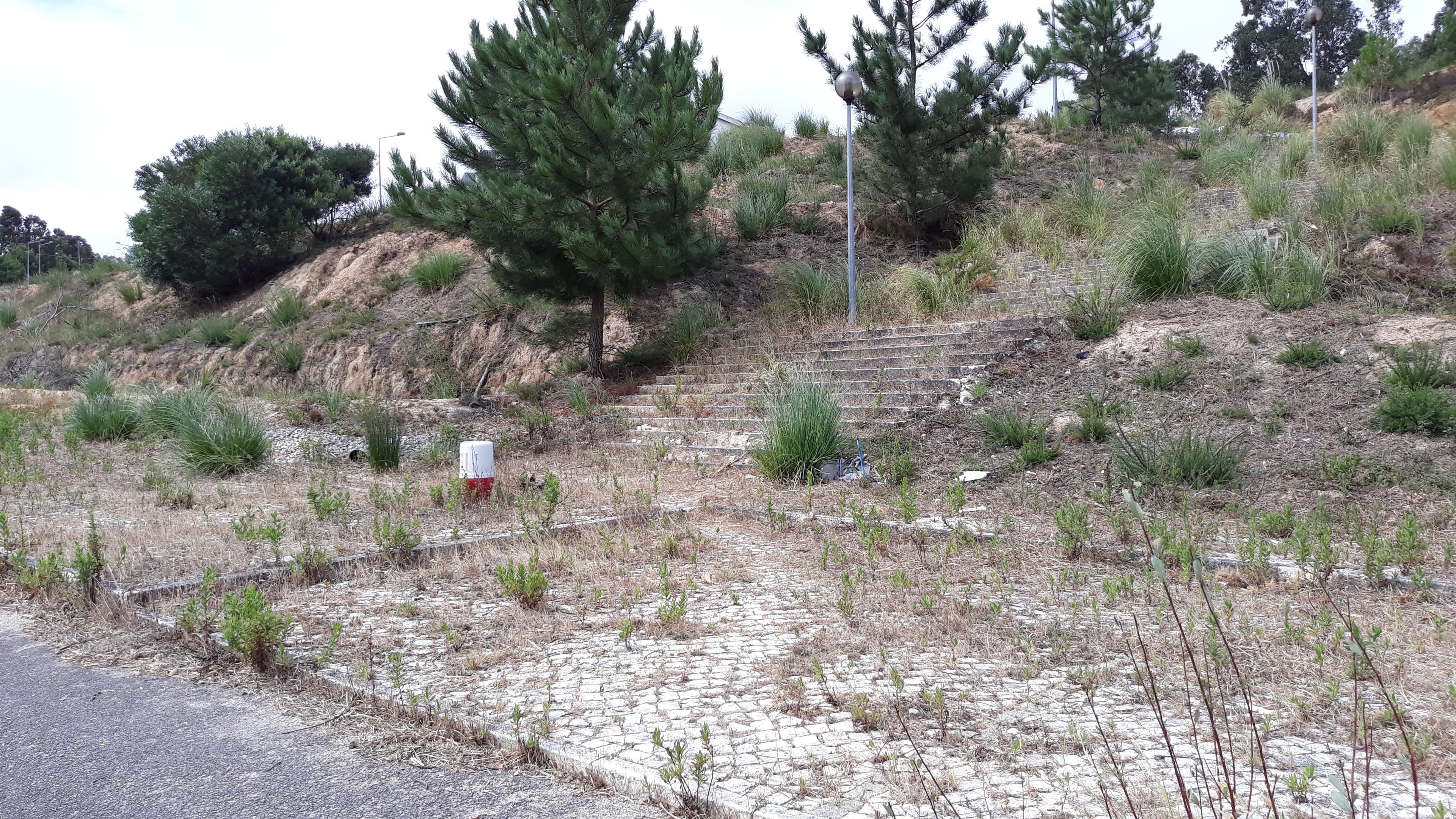 Lote para Construção · Torres Vedras — imagem 3