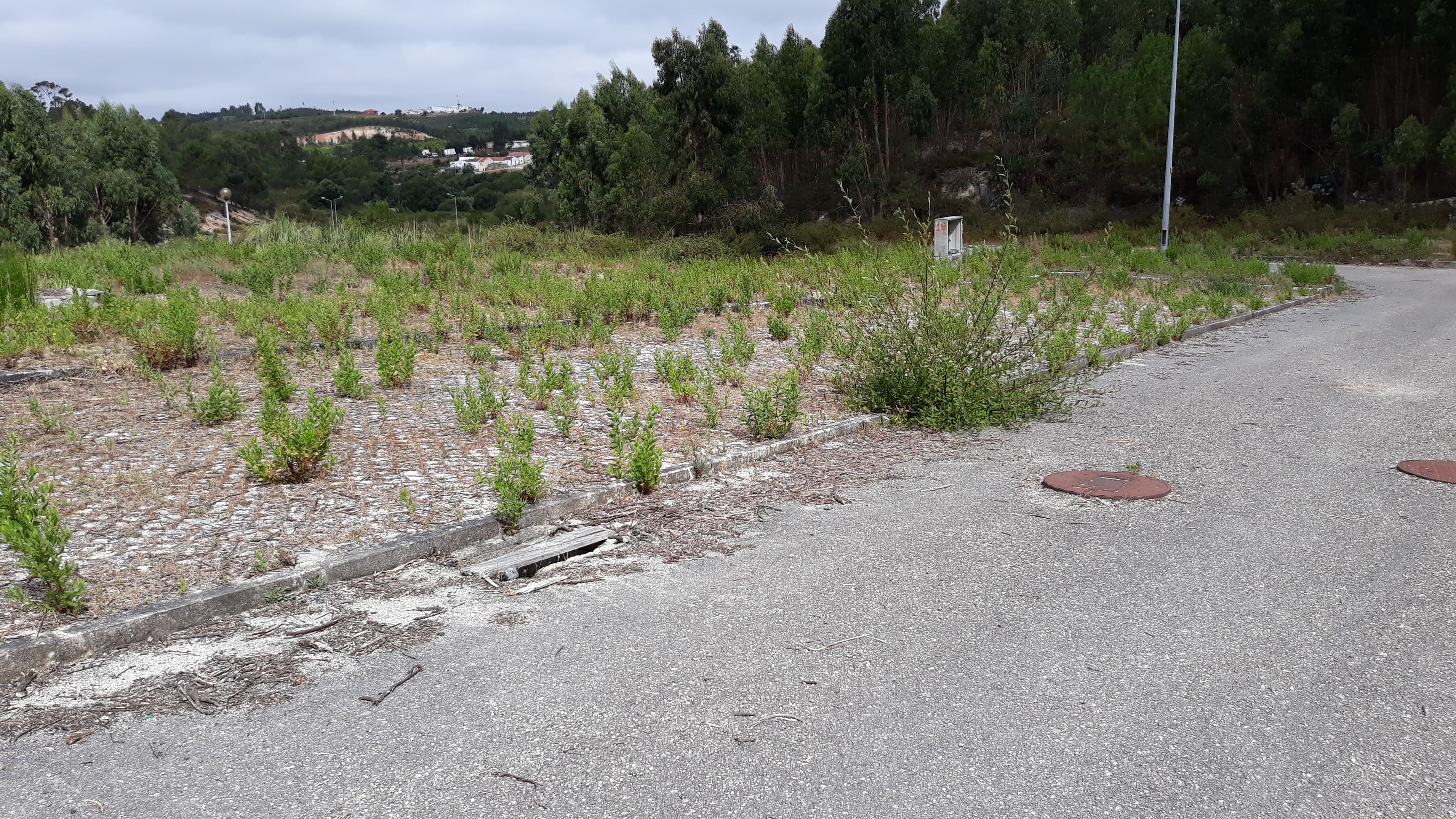 Lote para Construção · Torres Vedras — imagem 4
