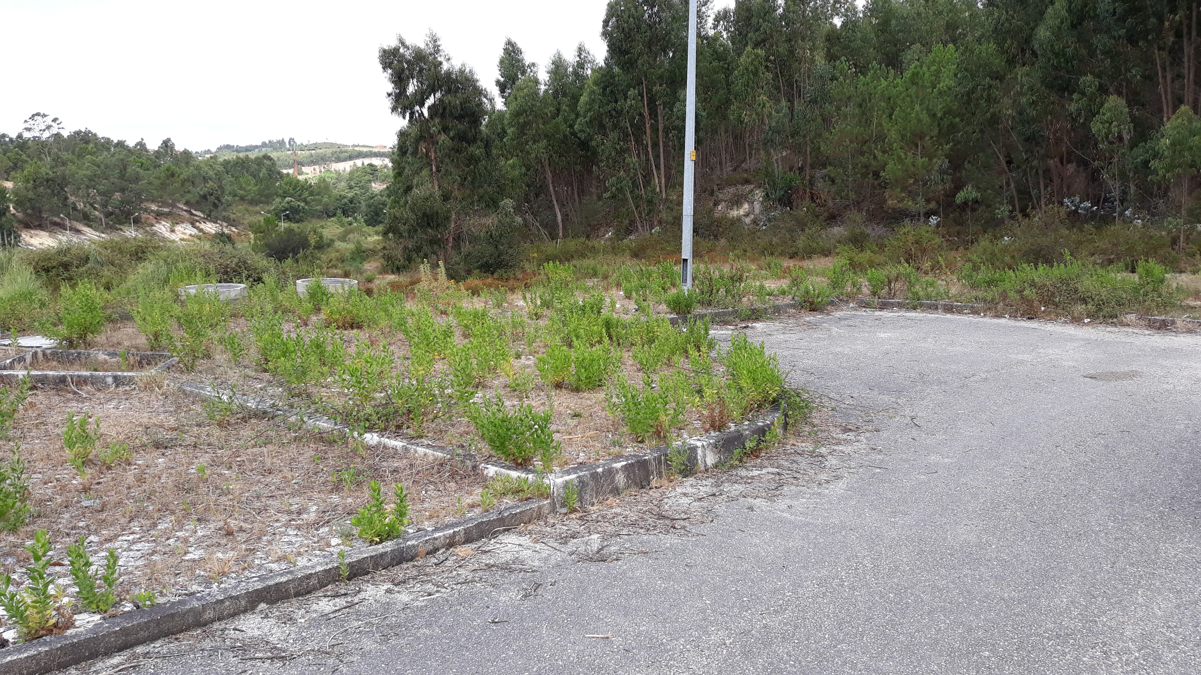 Lote para Construção · Torres Vedras — imagem 5