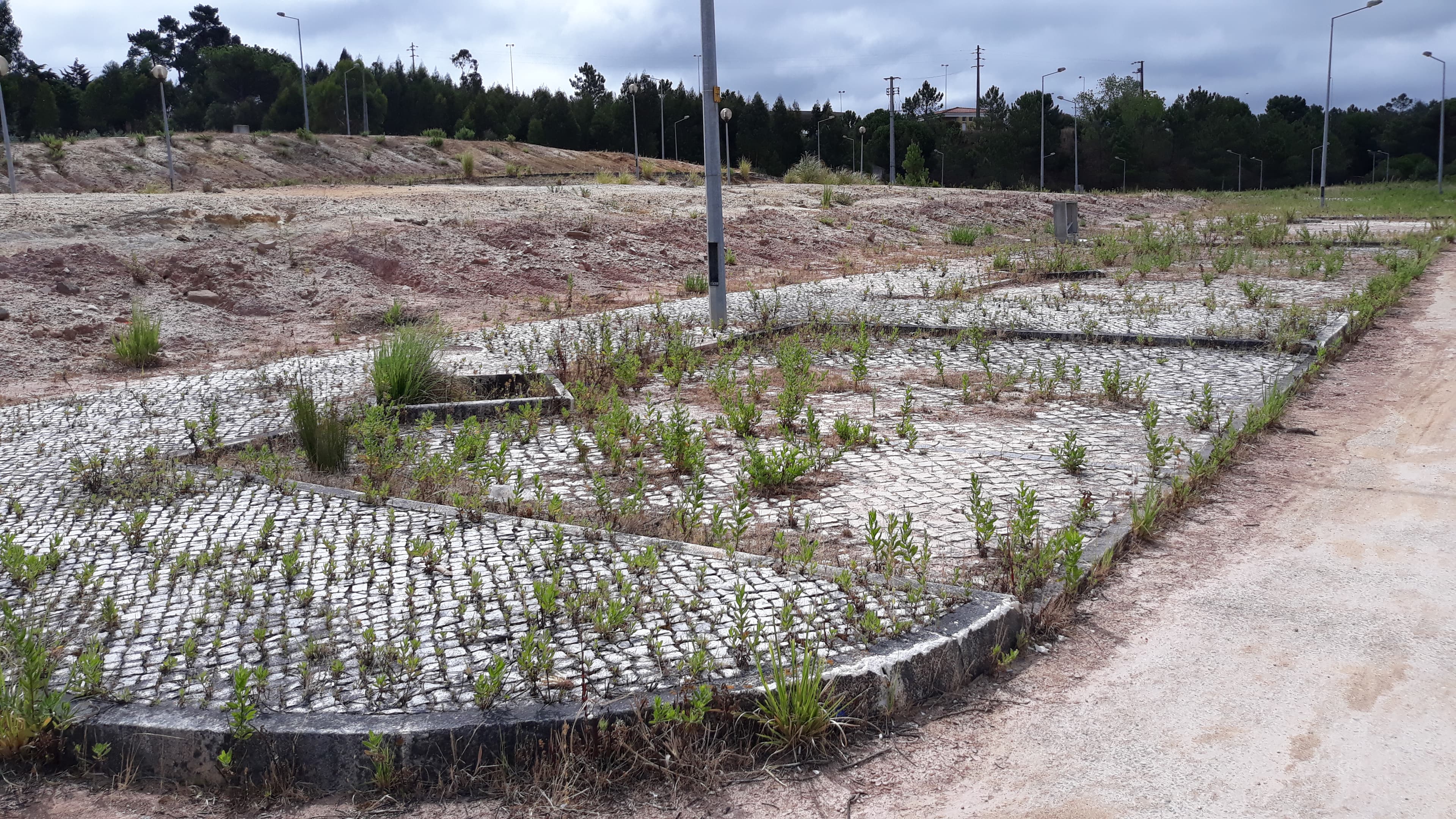 Lote para Construção · Torres Vedras — imagem 2