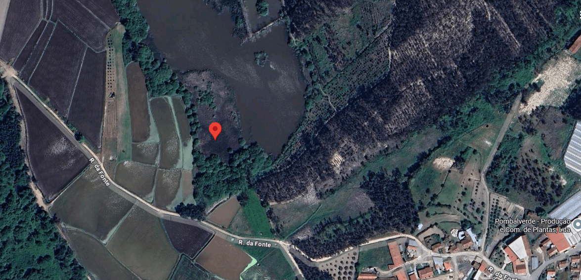 Terreno · Almagreira, Pombal — imagem 5