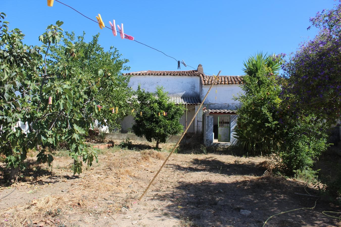 Moradia V3 · Vila de Frades, Vidigueira — image 7